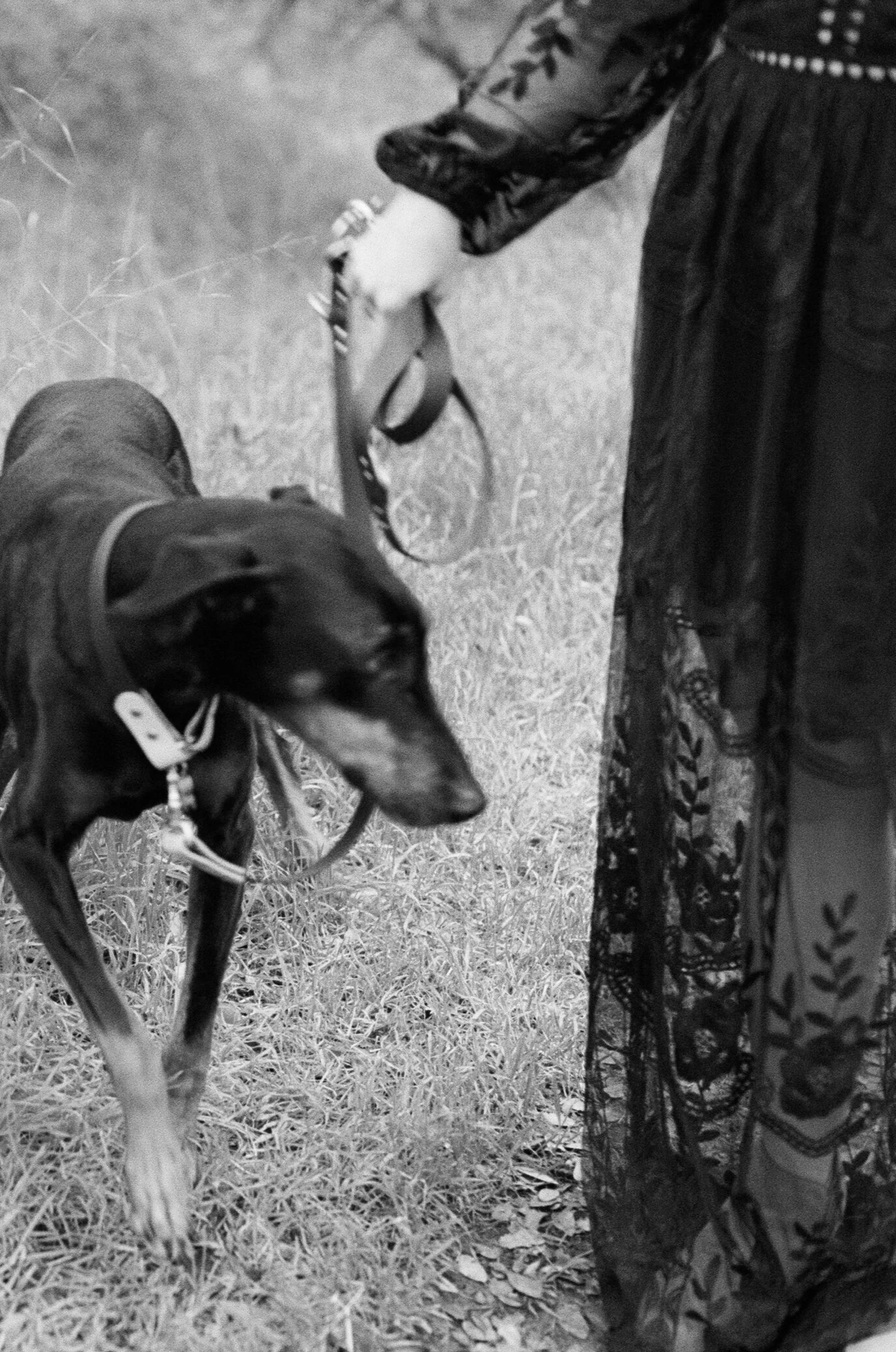 Sarah and Frankie 23.jpg