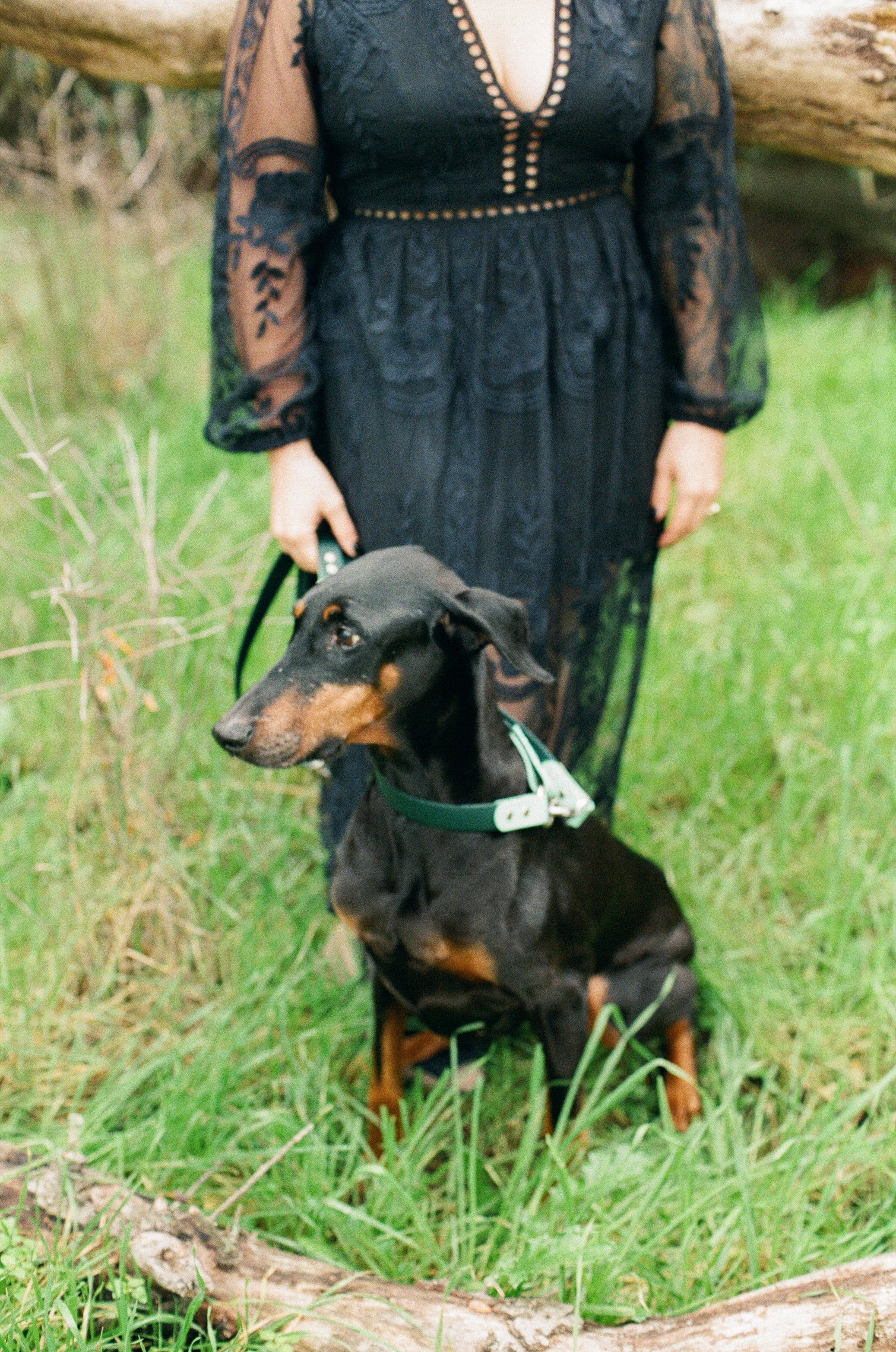 Sarah and Frankie 24.jpg