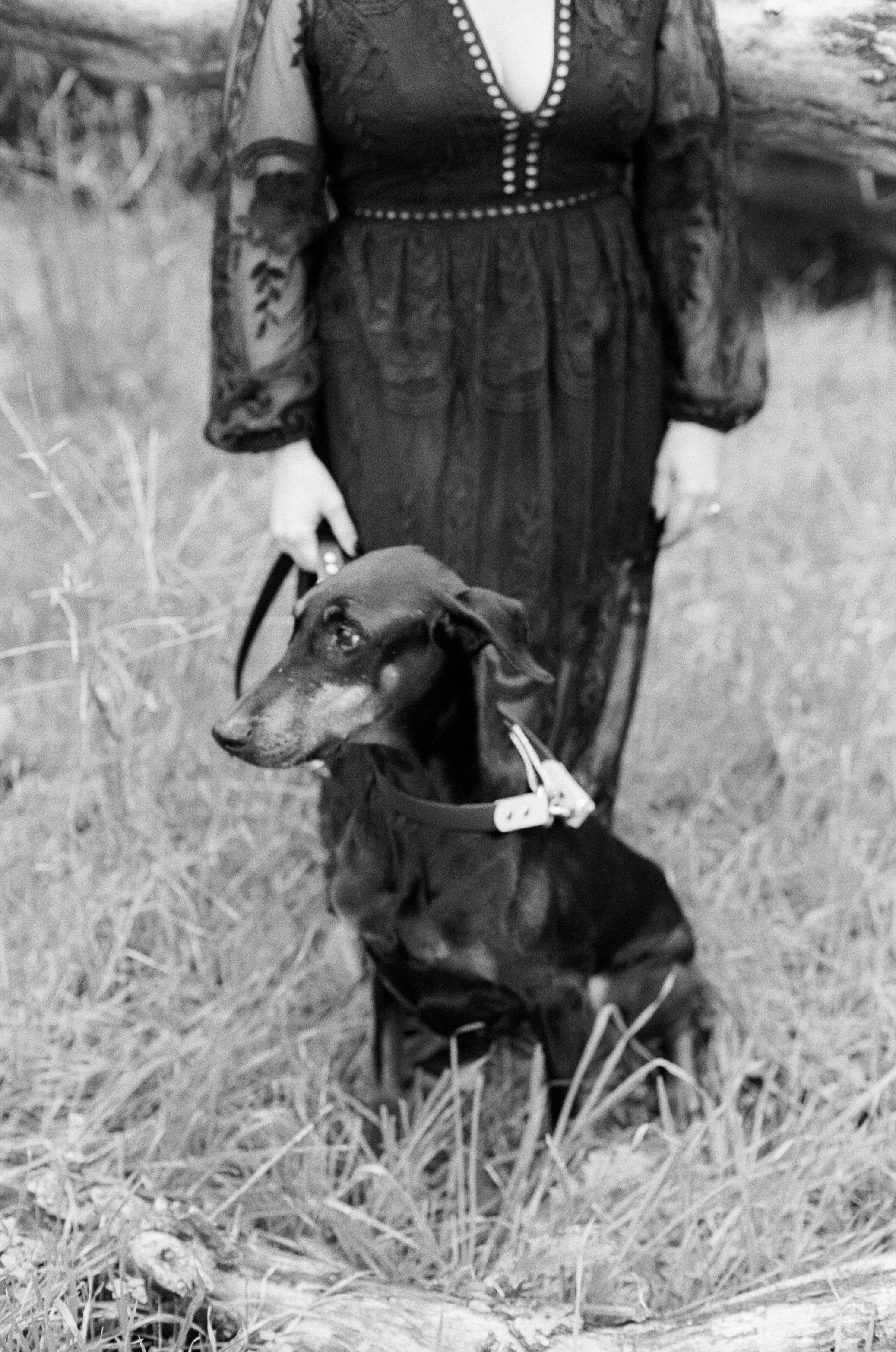 Sarah and Frankie 25.jpg