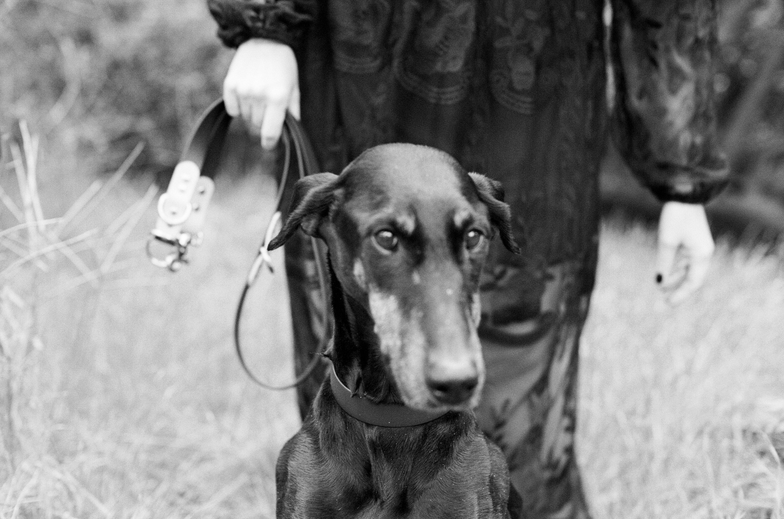 Sarah and Frankie 27.jpg