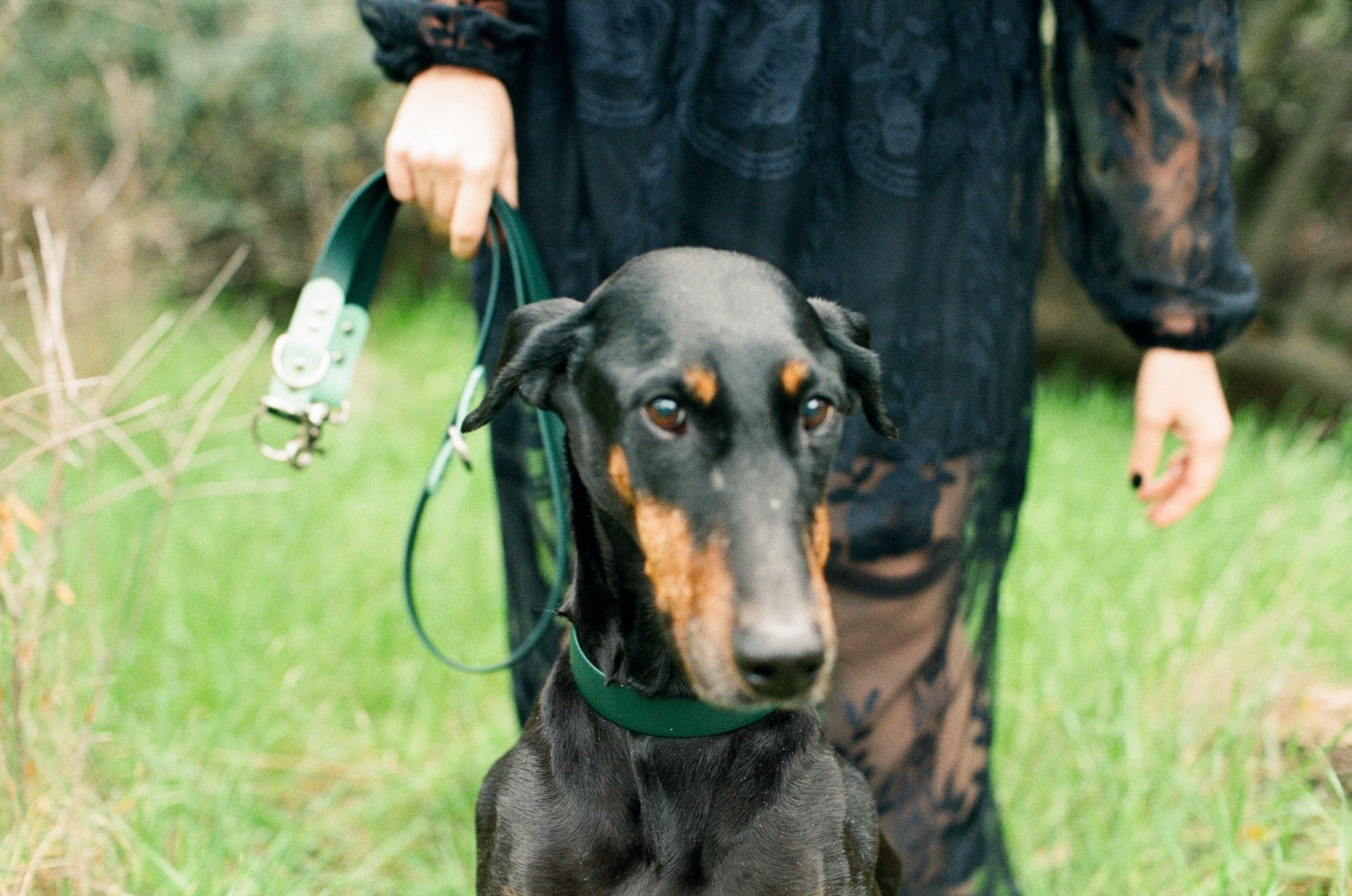 Sarah and Frankie 26.jpg