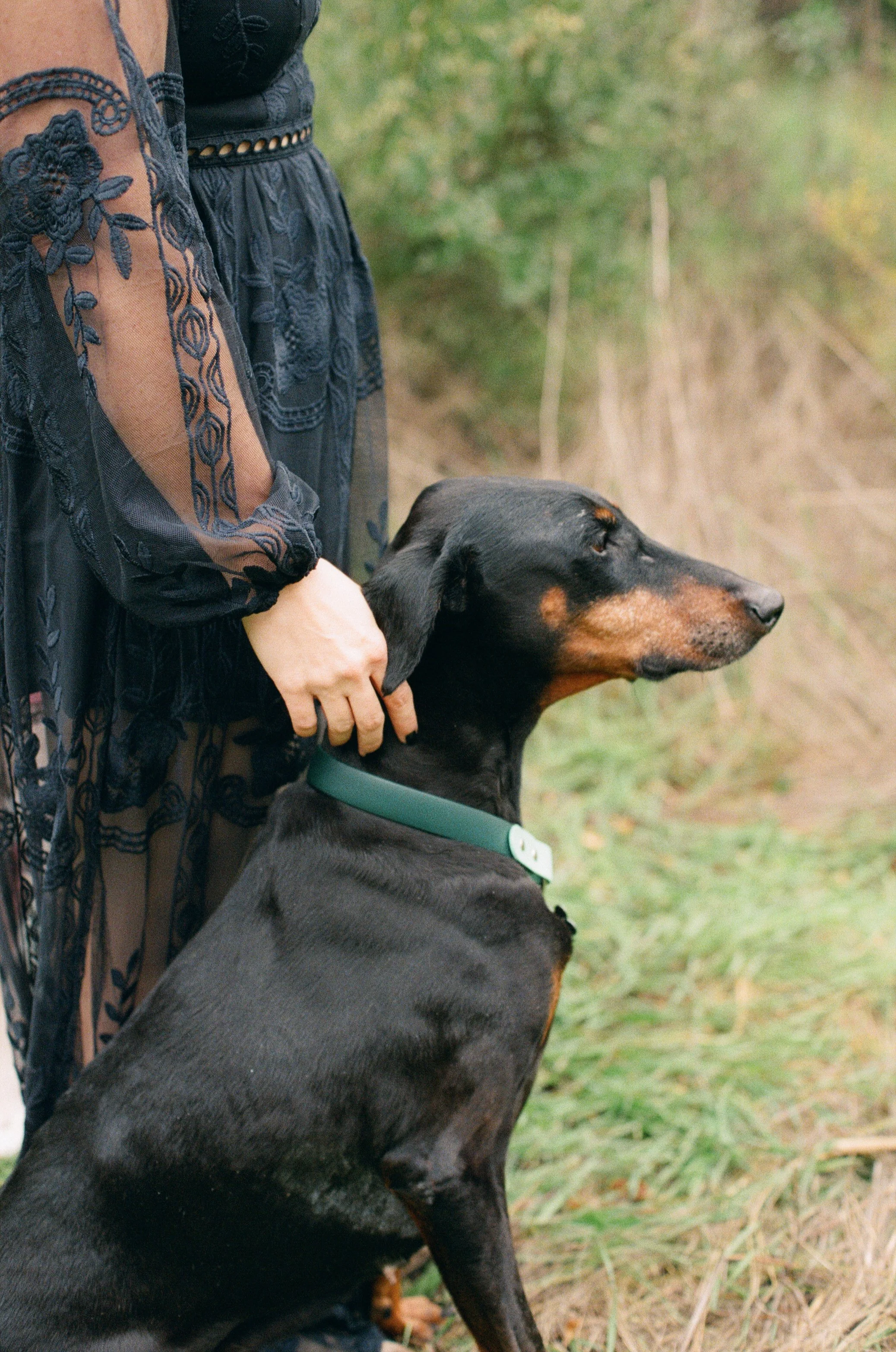 Sarah and Frankie 48.jpg