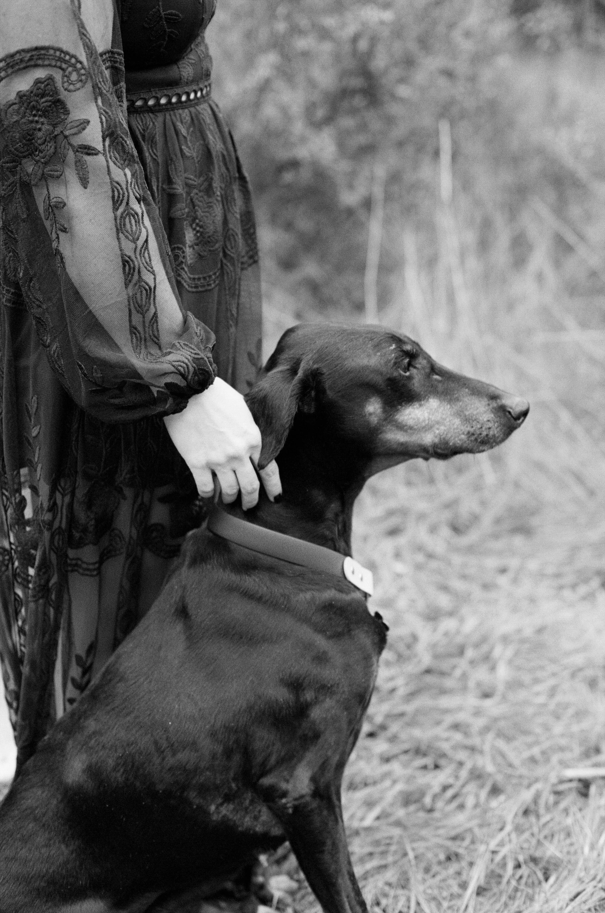 Sarah and Frankie 50.jpg