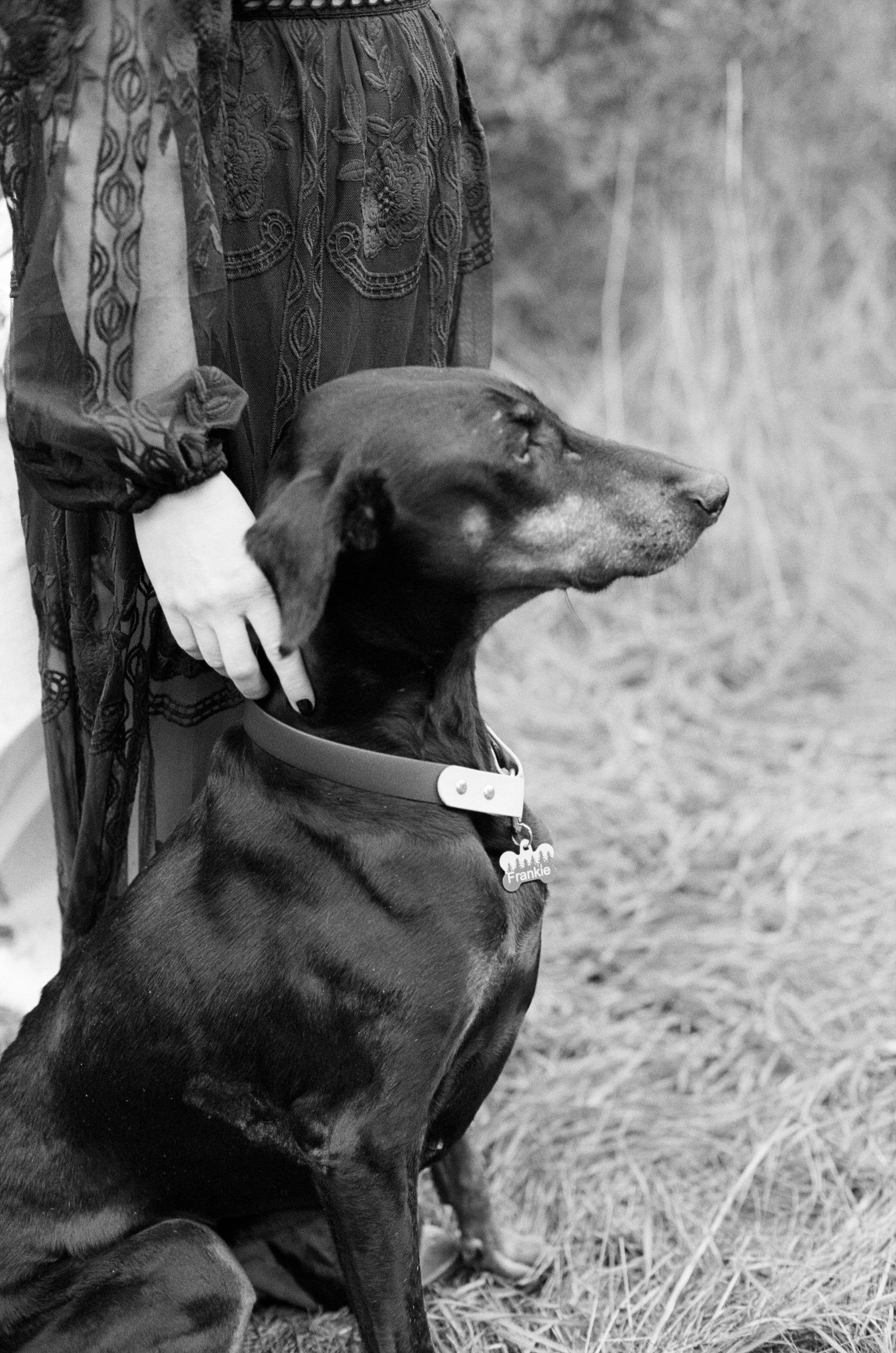 Sarah and Frankie 51.jpg