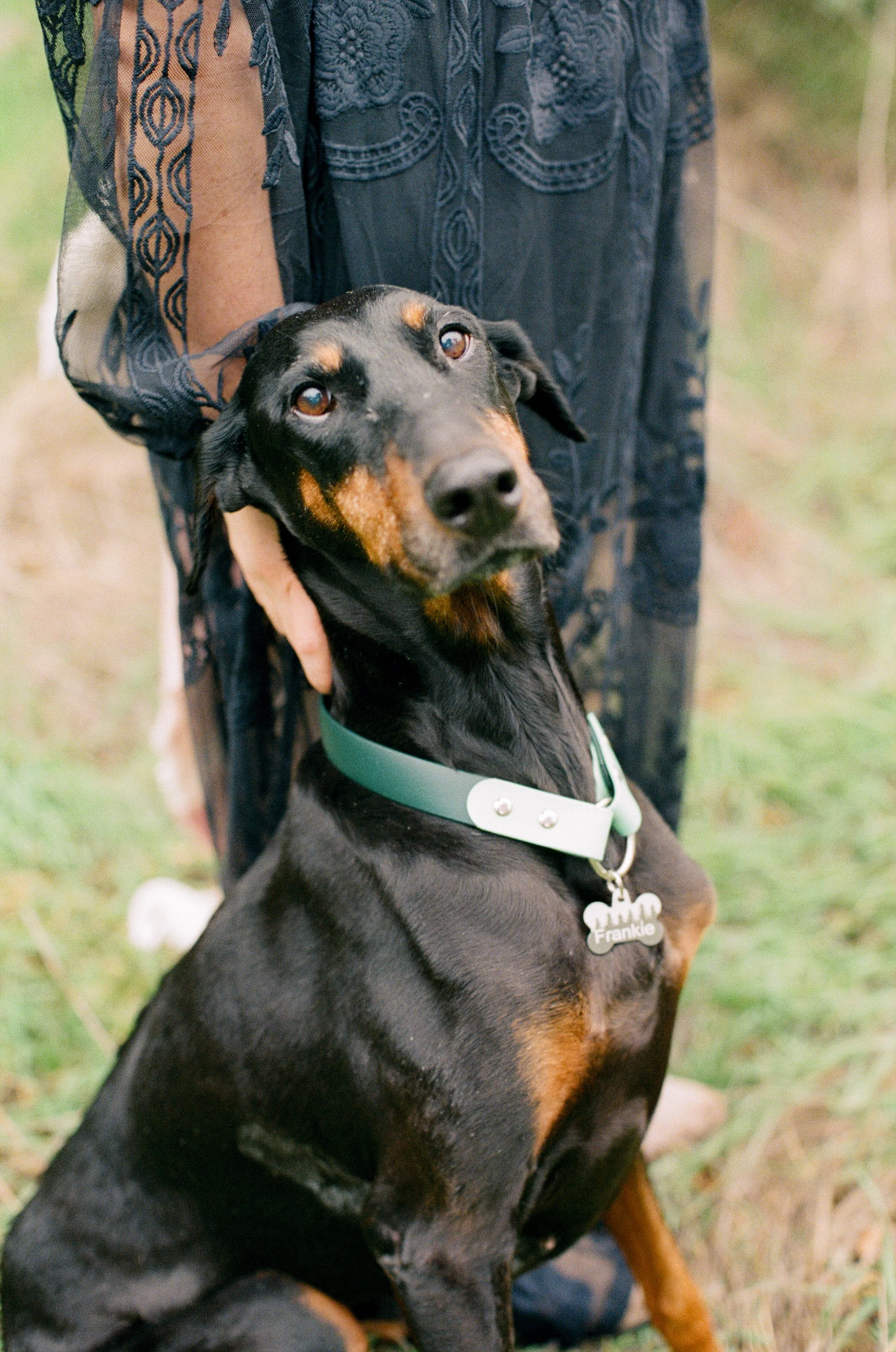 Sarah and Frankie 52.jpg