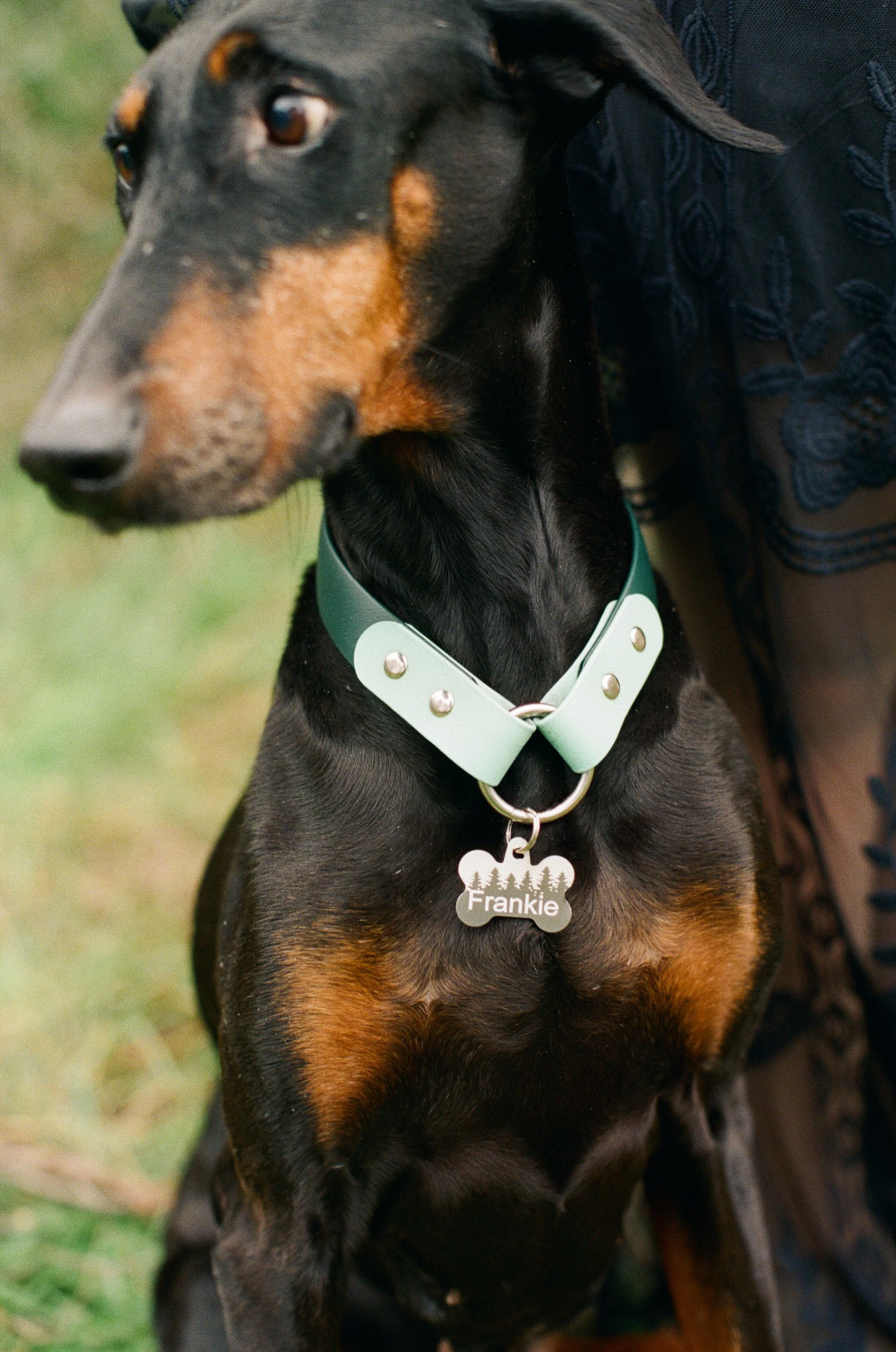 Sarah and Frankie 55.jpg