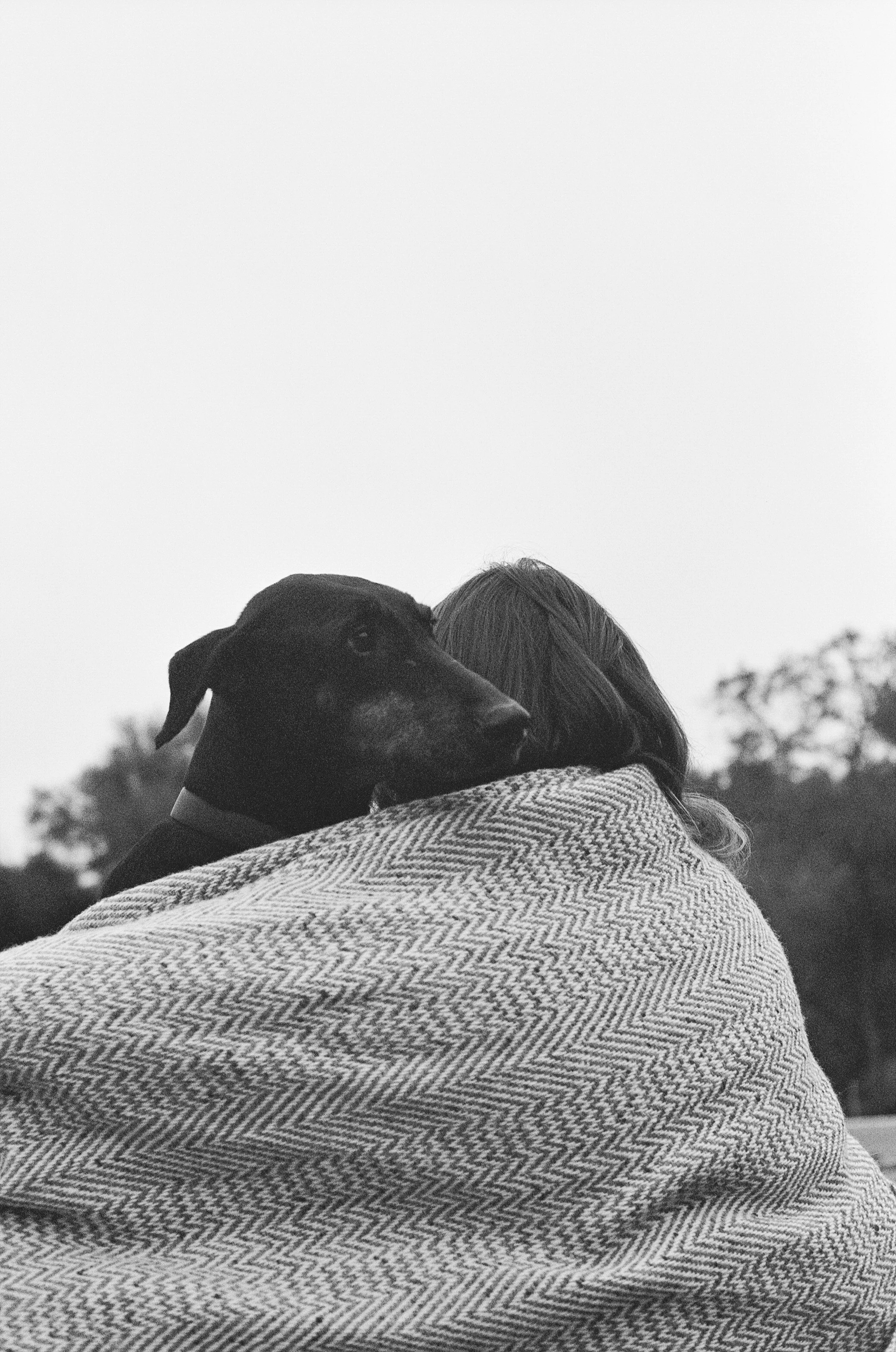 Sarah and Frankie 68.jpg