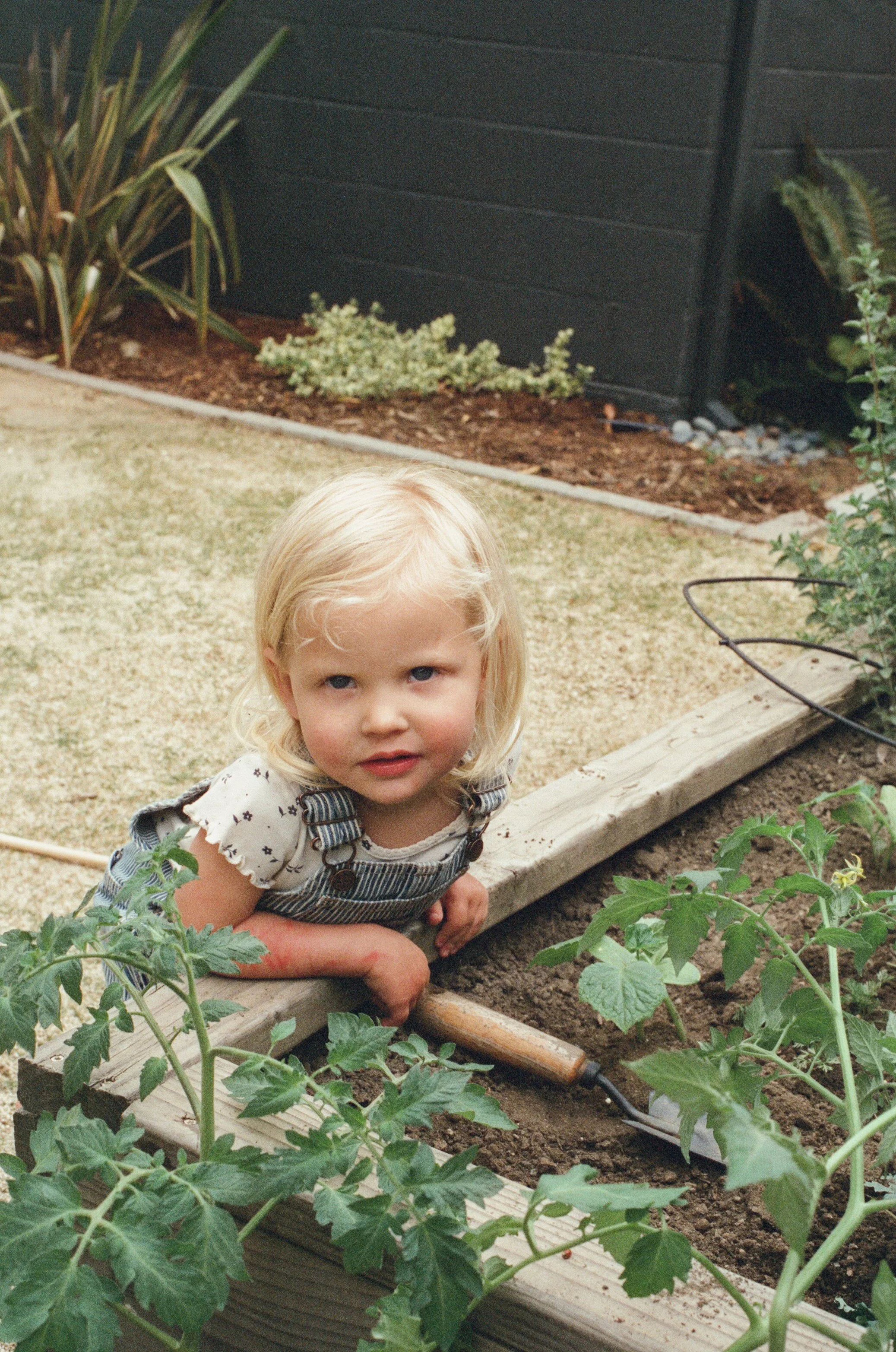 Jacki Garden Film 3.jpg