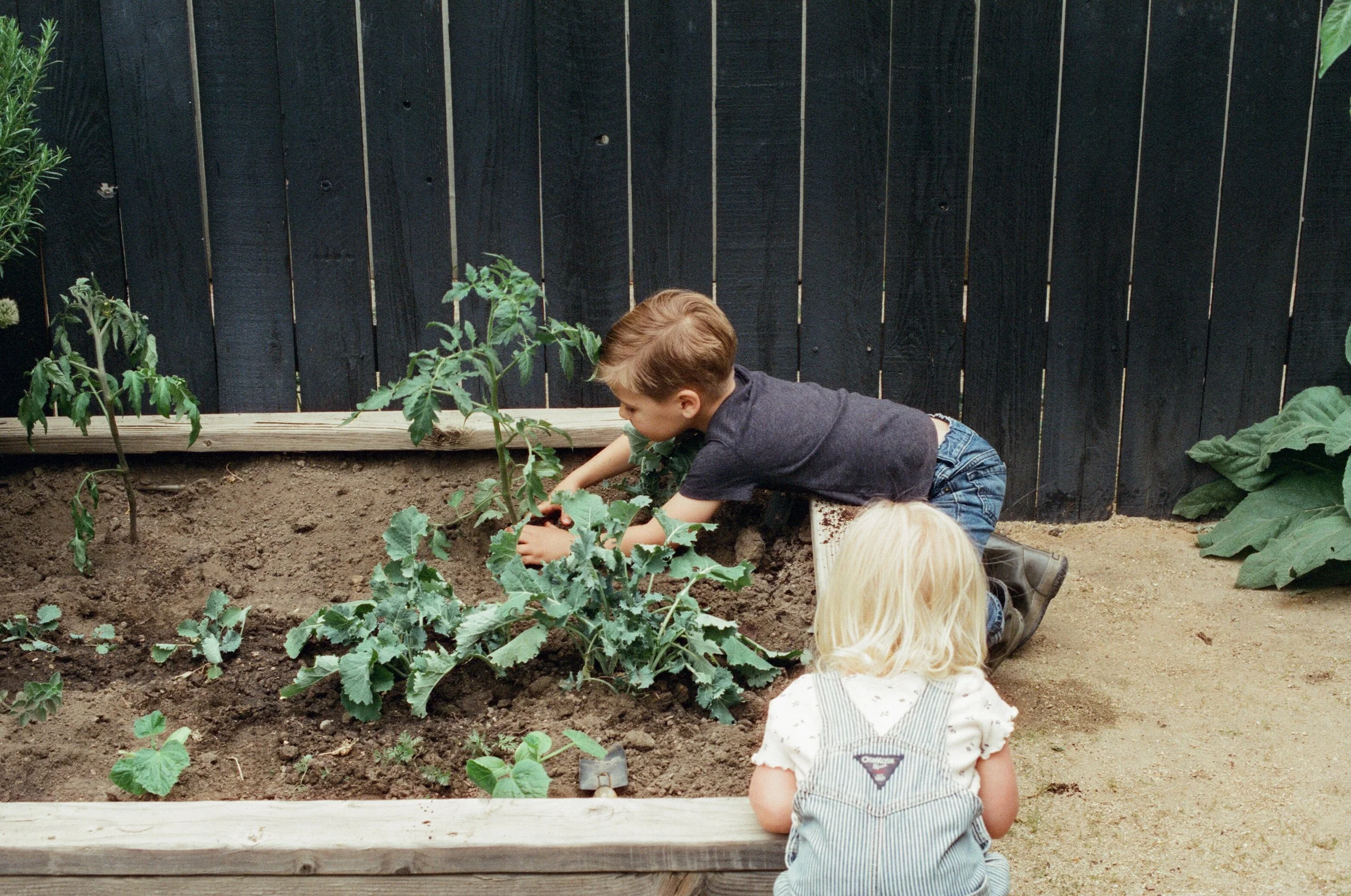 Jacki Garden Film 4.jpg