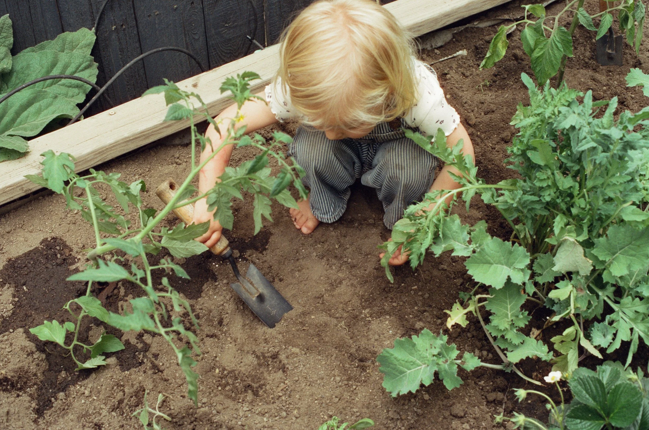 Jacki Garden Film 13.jpg