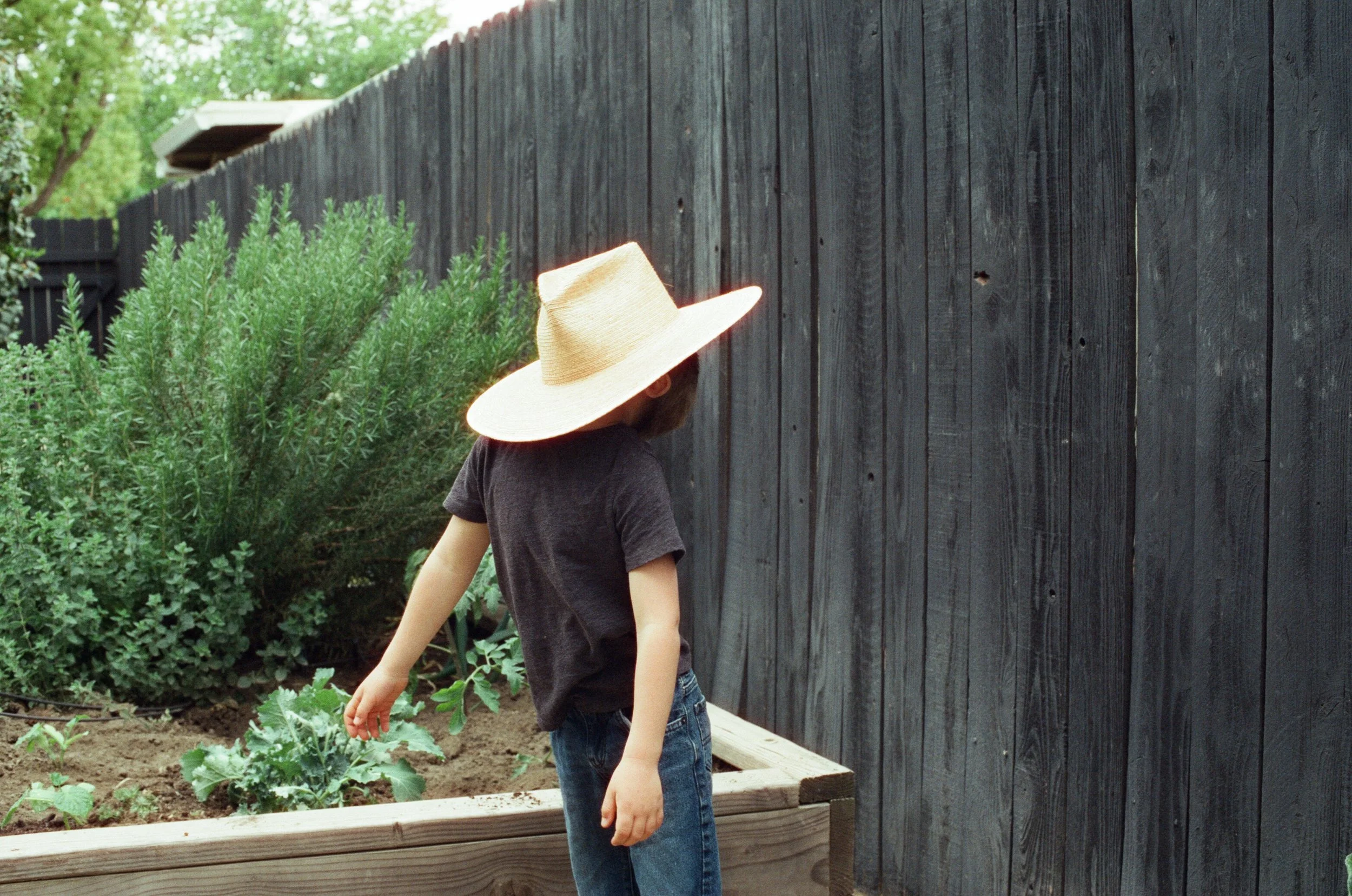 Jacki Garden Film 15.jpg