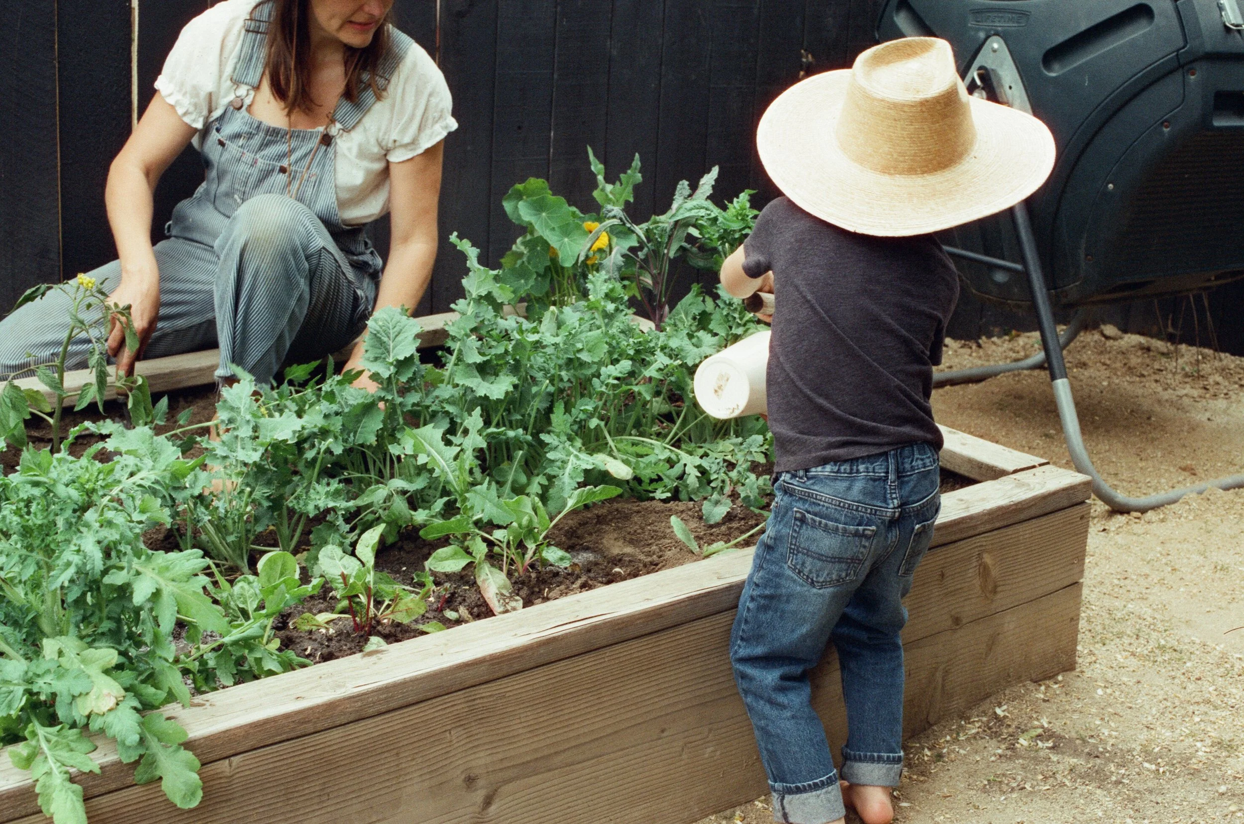 Jacki Garden Film 16.jpg