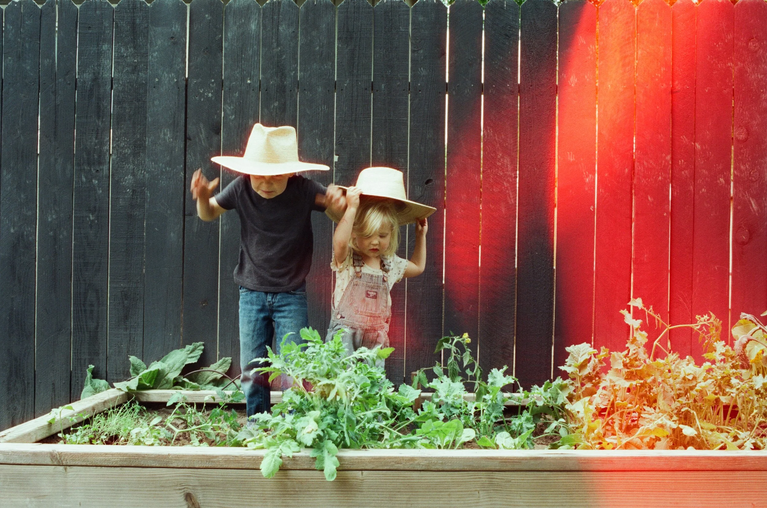 Jacki Garden Film 20.jpg