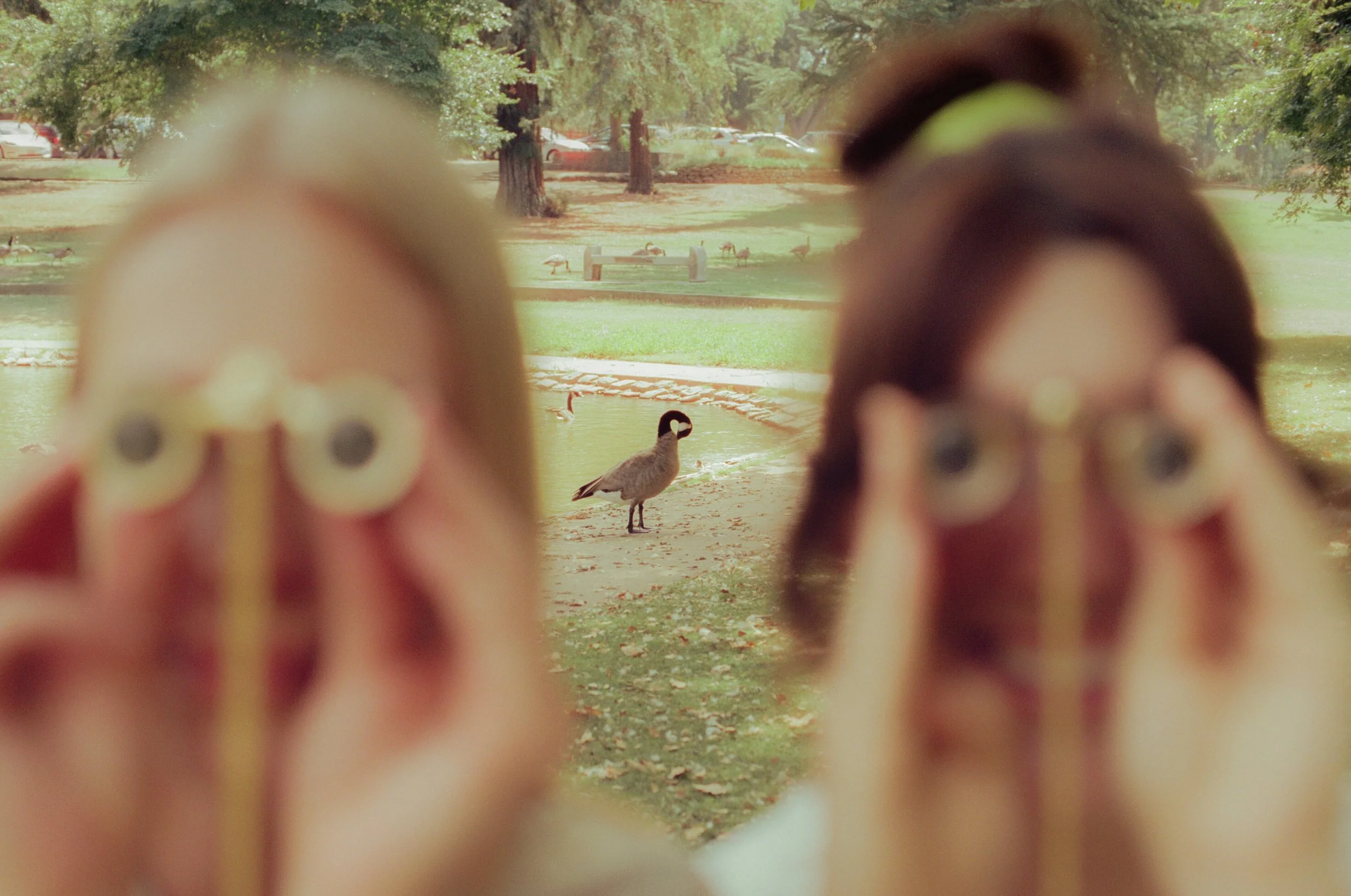 Dirty Bird Goes Bird Watching Film 170.jpg