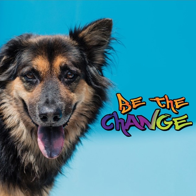 OSCAS 2019 Calendar: Be the Change!