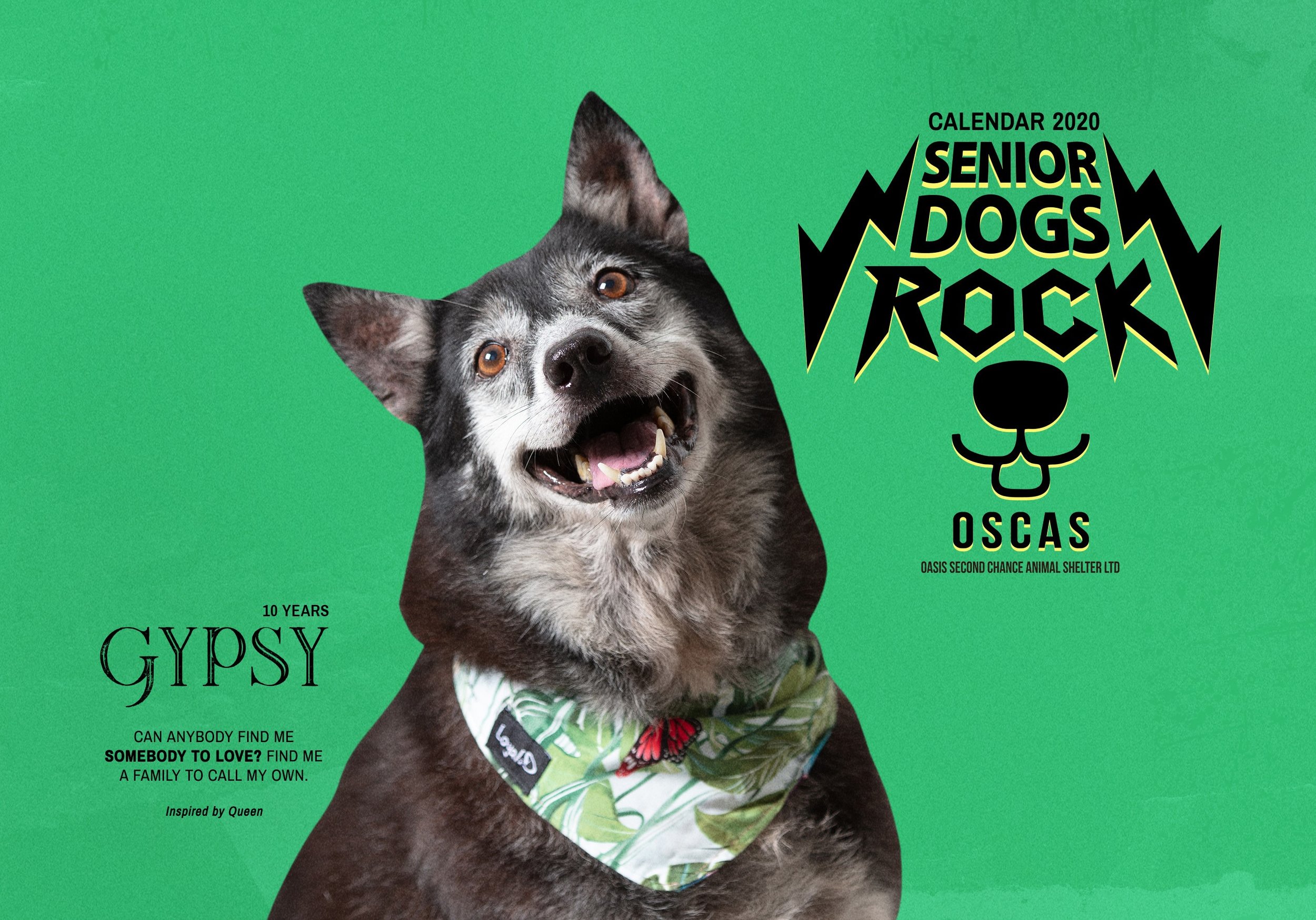 SOLD OUT: Senior Dogs Rock! Order the 2020 OSCAS Calendar