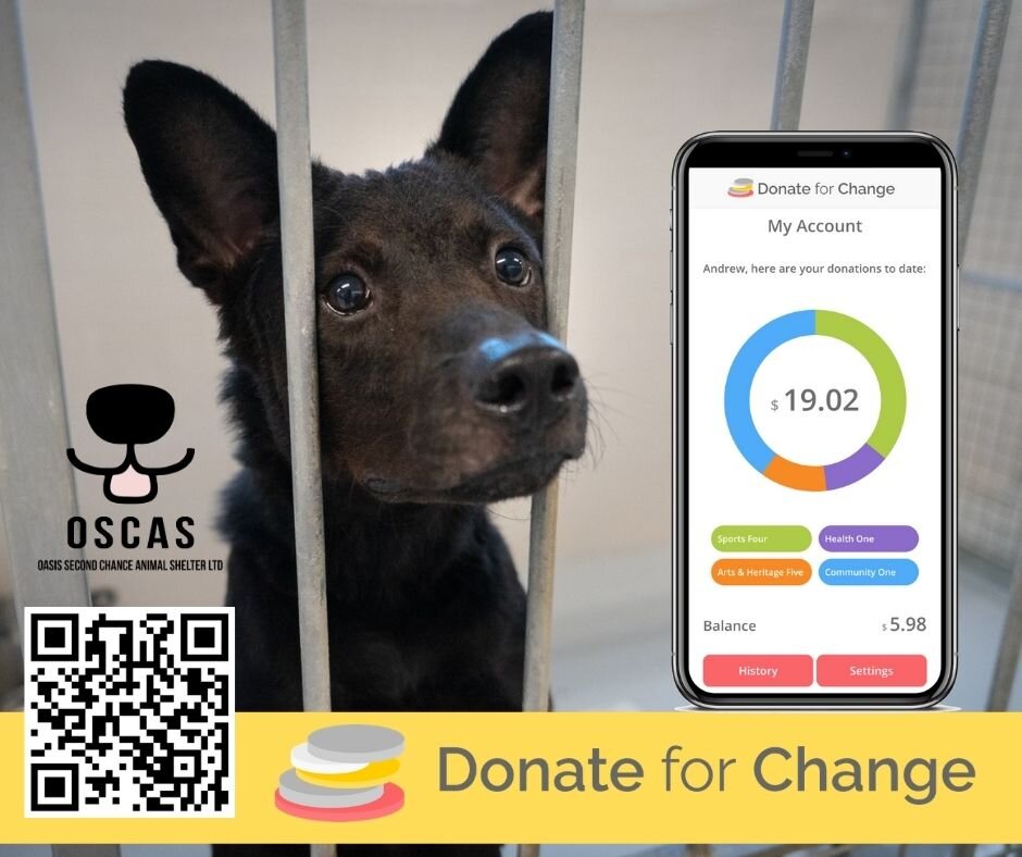 Puppy Second Chance Rescue Facebook Donation Second Chance Pet