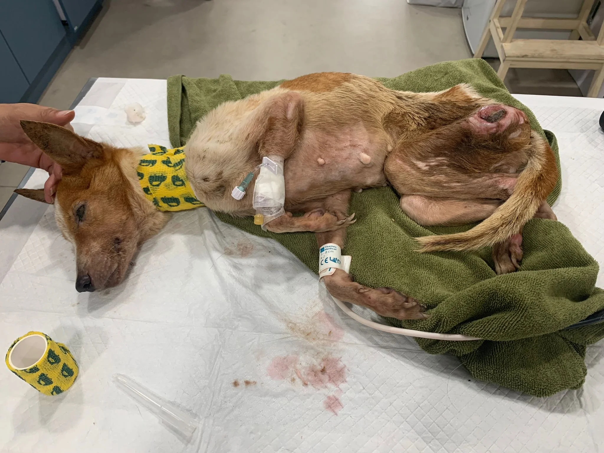 Lim Chu Kang Joint Rescue