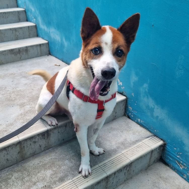 Kino on the stairs.jpg