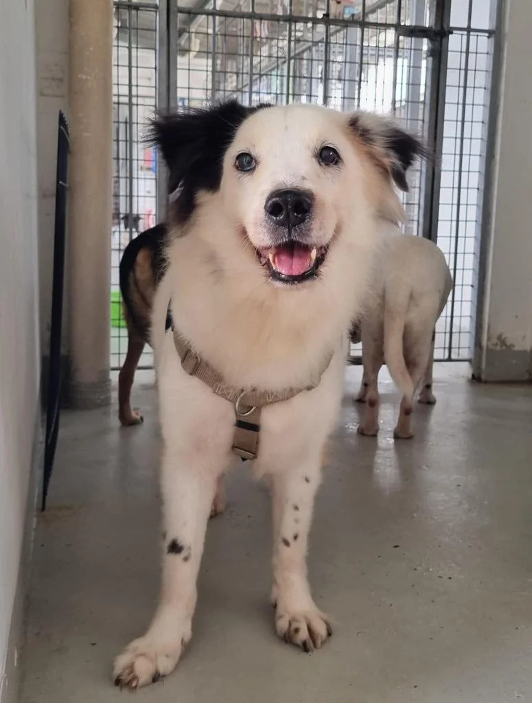 WhatsApp Image 2024-01-14 at 10.48.51 AM.jpeg