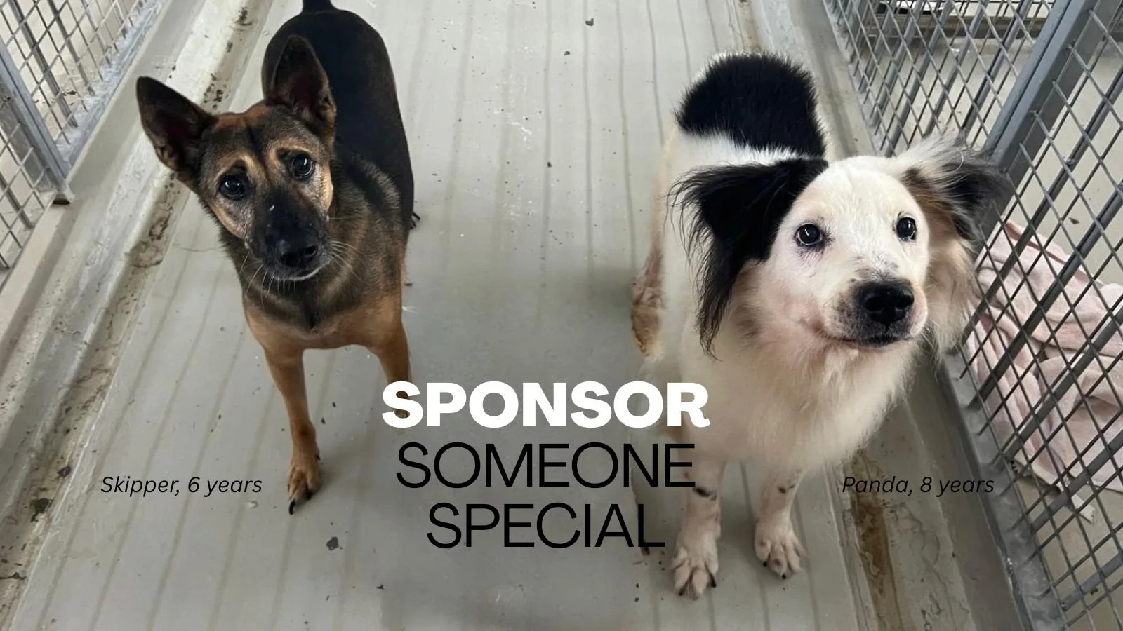 SPONSOR BANNER WEBSITE.jpg