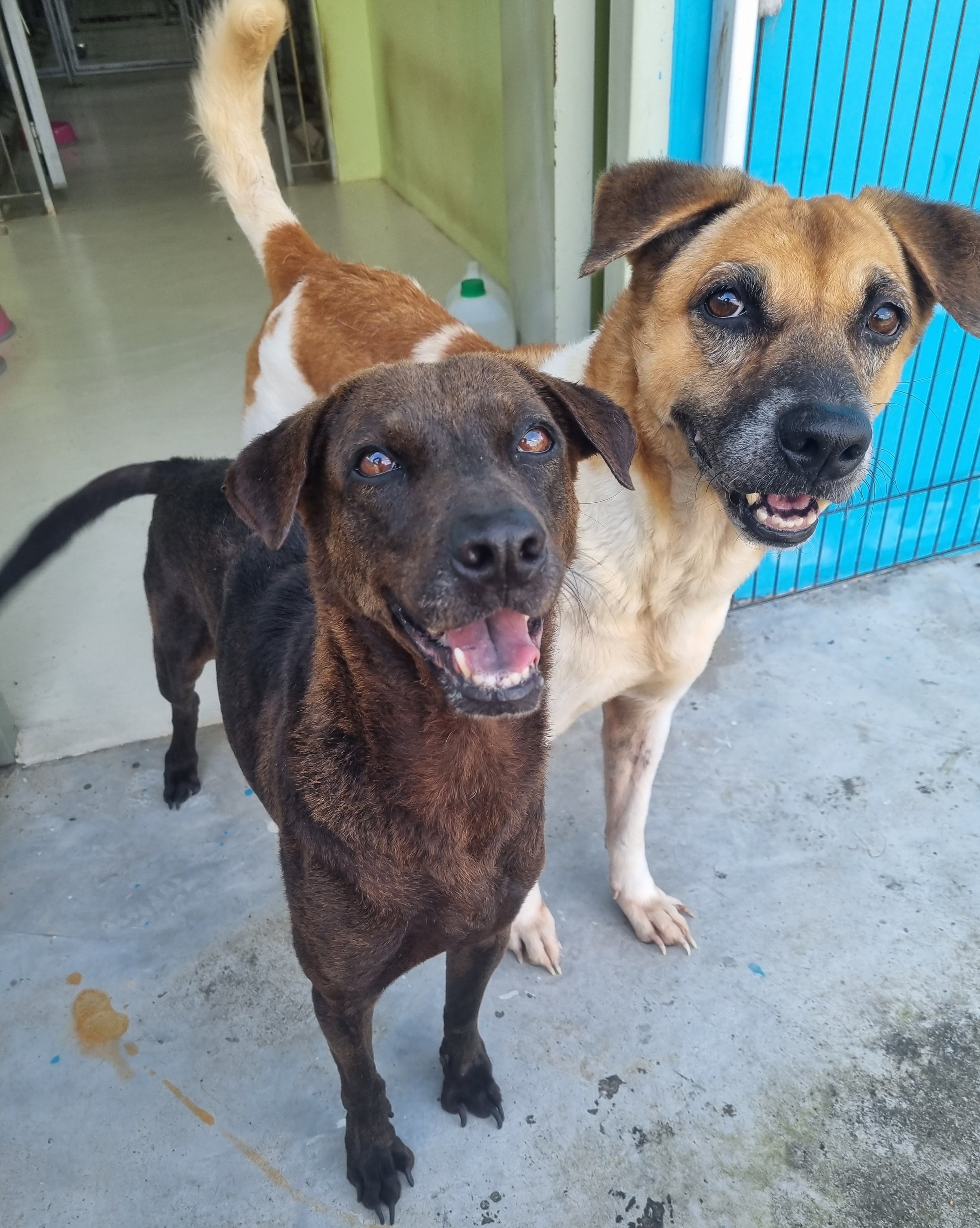 20230224_101851 (1).jpg