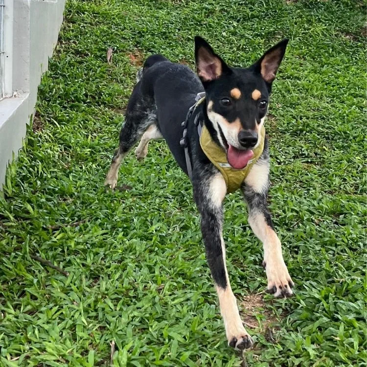 Sparkle March 2026.jpg