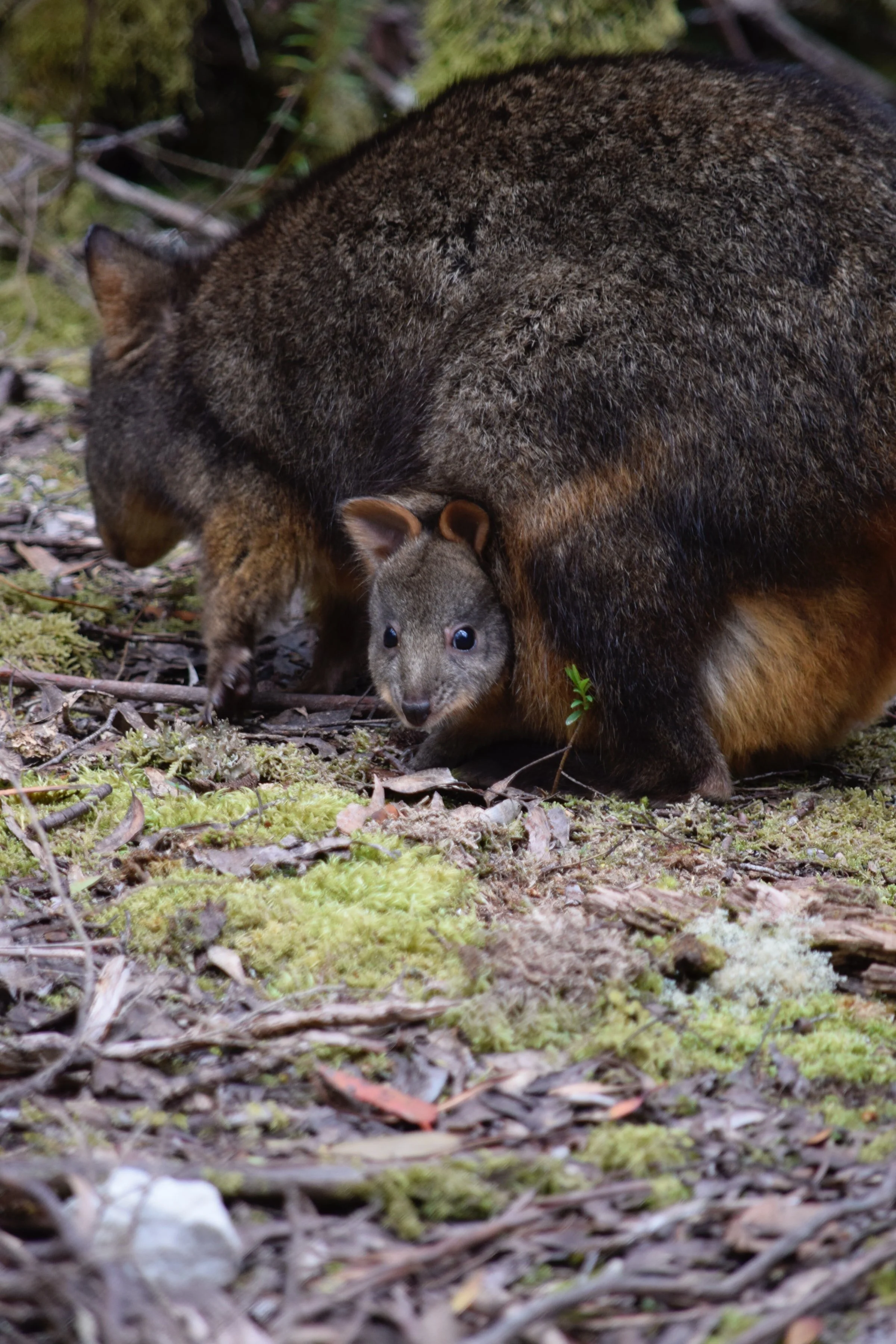 keith-davey-c_8fMfdleoU-unsplash.jpg