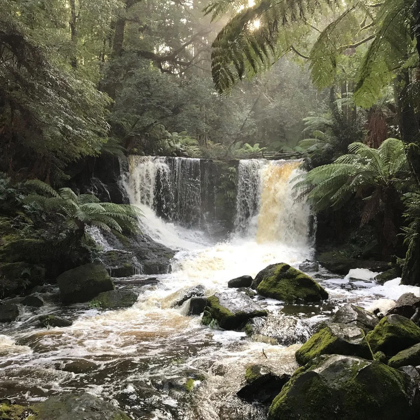 Horseshoe Falls, Mt Field.jpg