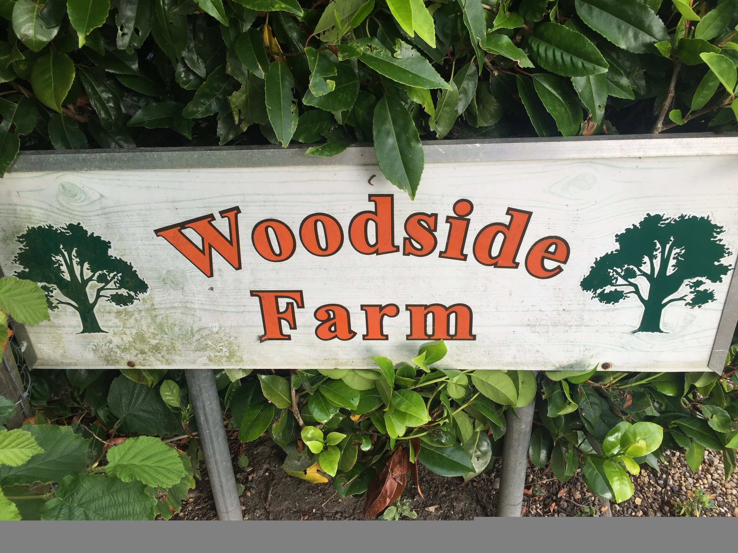 woodside farm pic 1.jpg