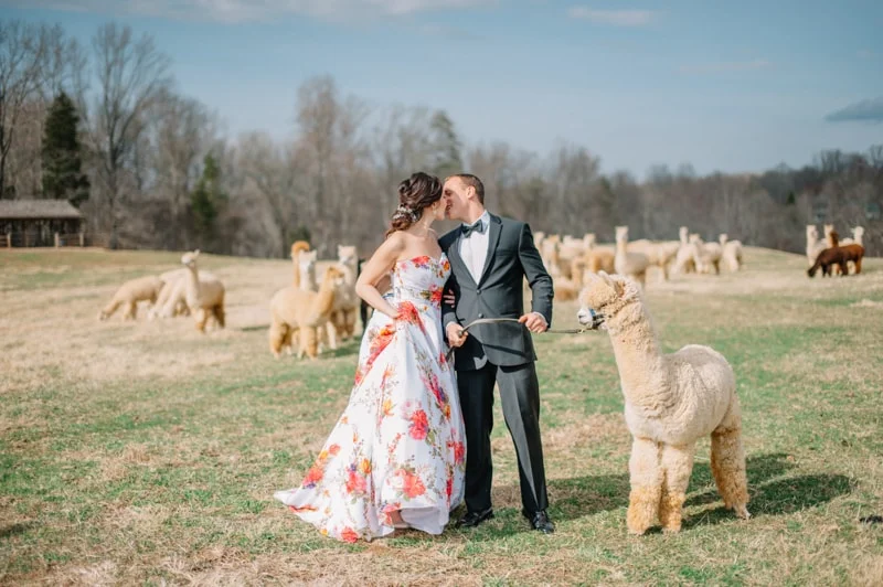 historic-cedar-hill-plains-virginia-wedding-shoot-32-min.jpg