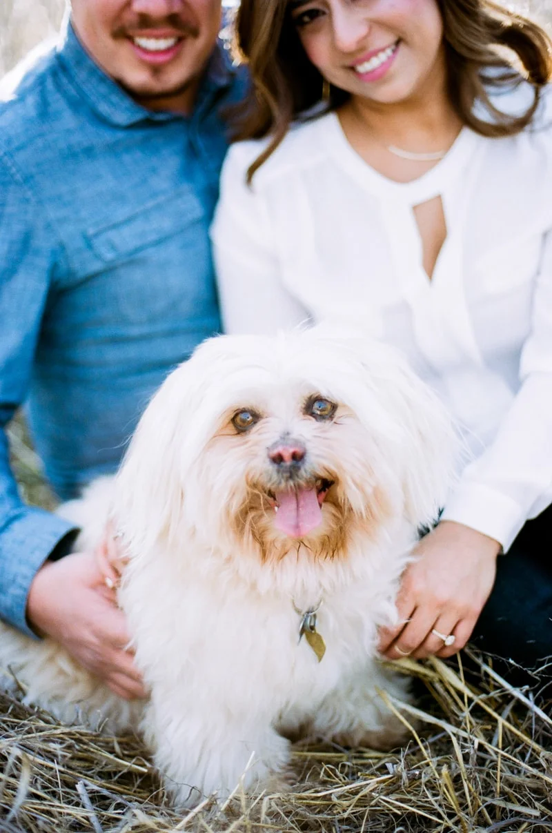 malibu engagement session