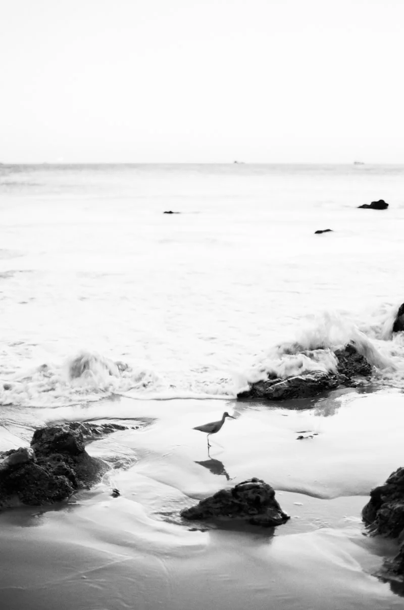 malibu engagement session