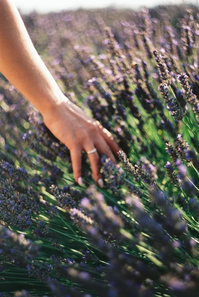 provence-france-lavender-honeymoon-photos-6-min.jpg