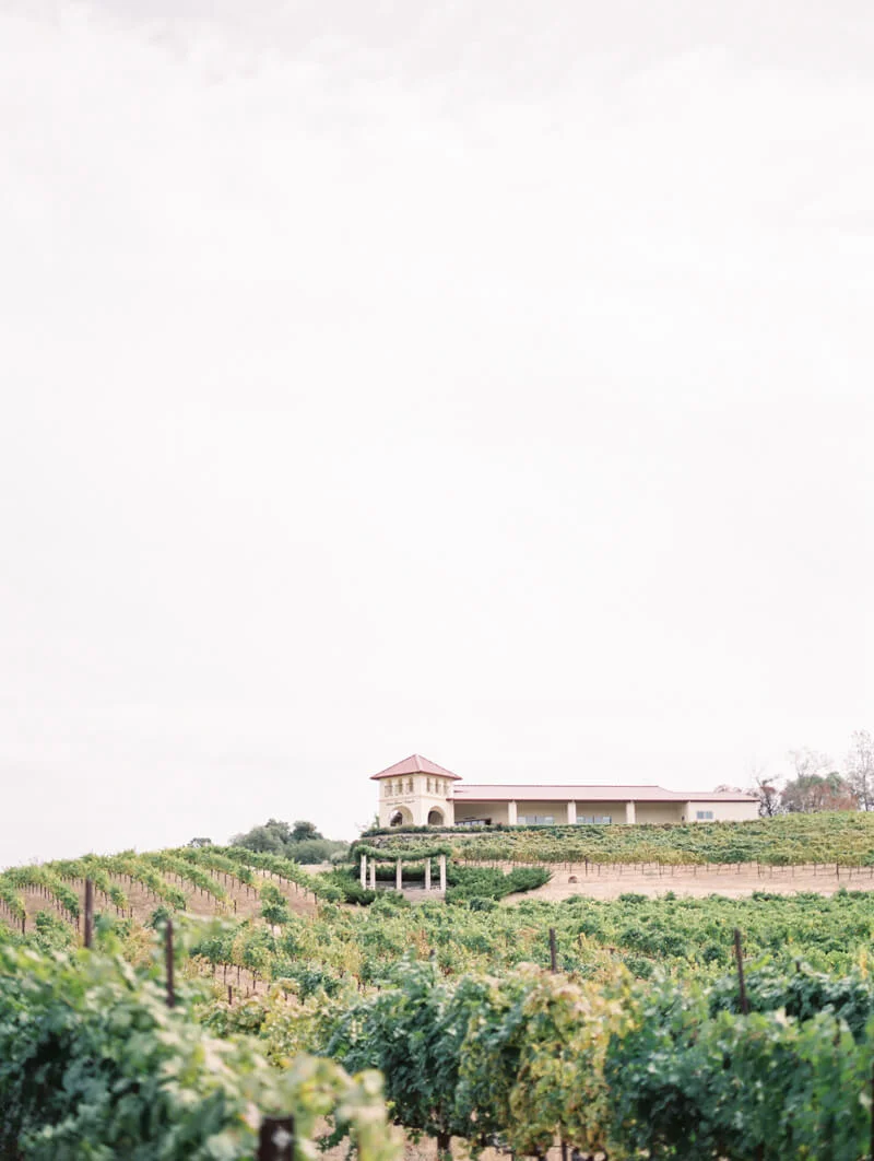 David Girard Vineyards Wedding - Placerville, California — Destination  Wedding Blog, Honeymoon, Travel - Trendy Bride