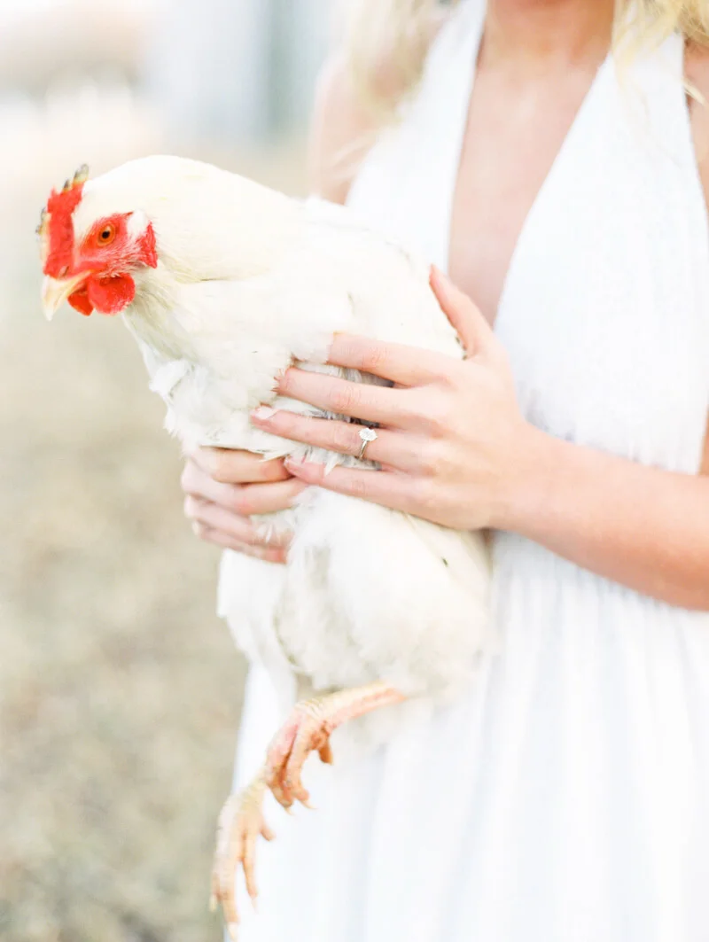 family-farm-bridals-des-moines-iowa-fine-art-7.jpg