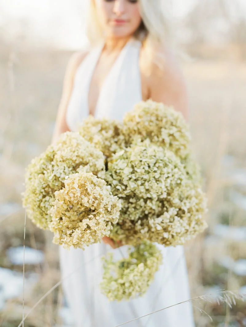 family-farm-bridals-des-moines-iowa-fine-art-6.jpg