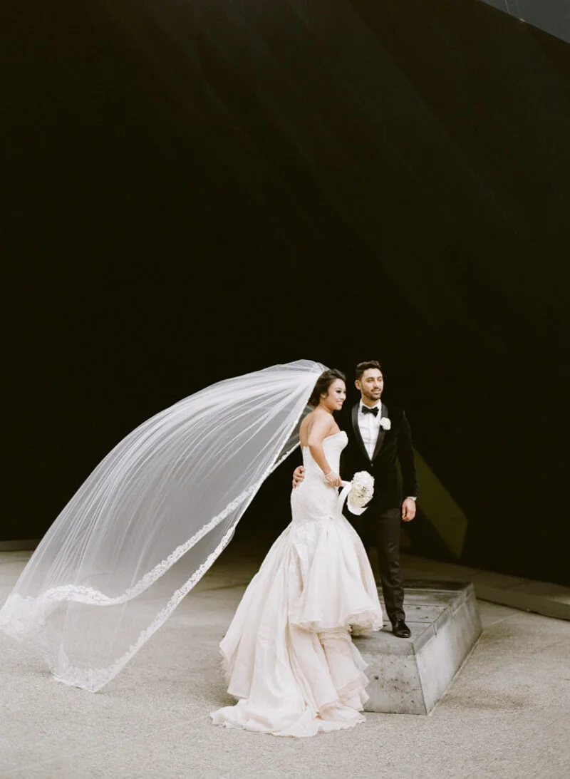 jaw-dropping-wedding-veils-7.jpg