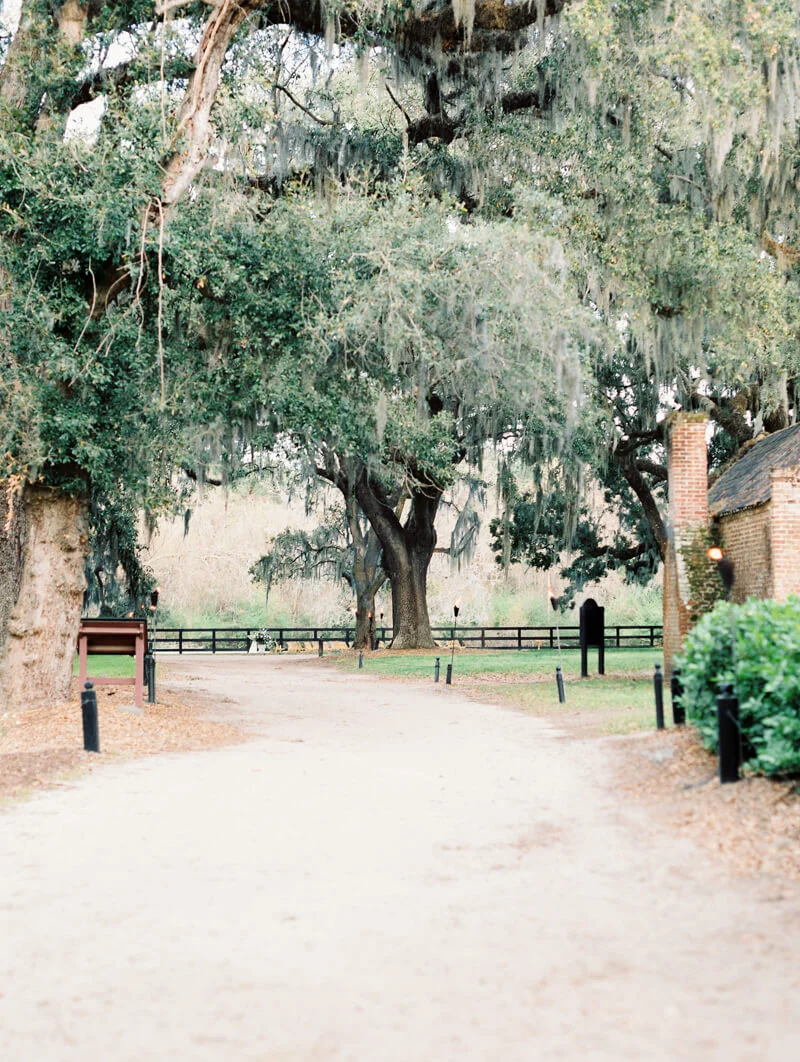 destination-wedding-in-charleston-9.jpg