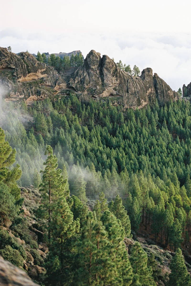 gran-canaria-travel-photos-13.jpg