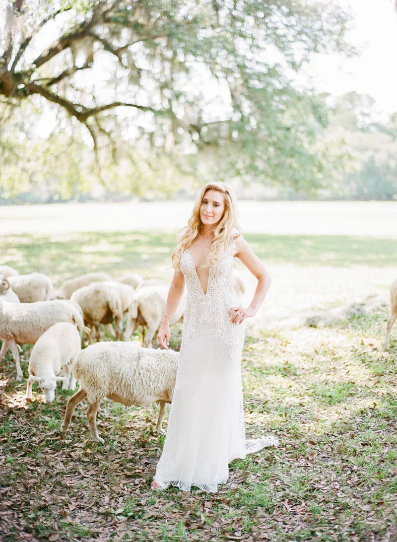 charleston-sc-destination-wedding-23.jpg