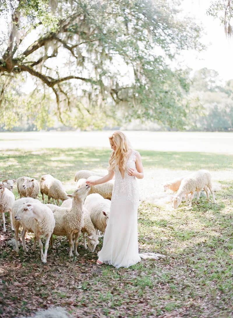 charleston-sc-destination-wedding-22.jpg