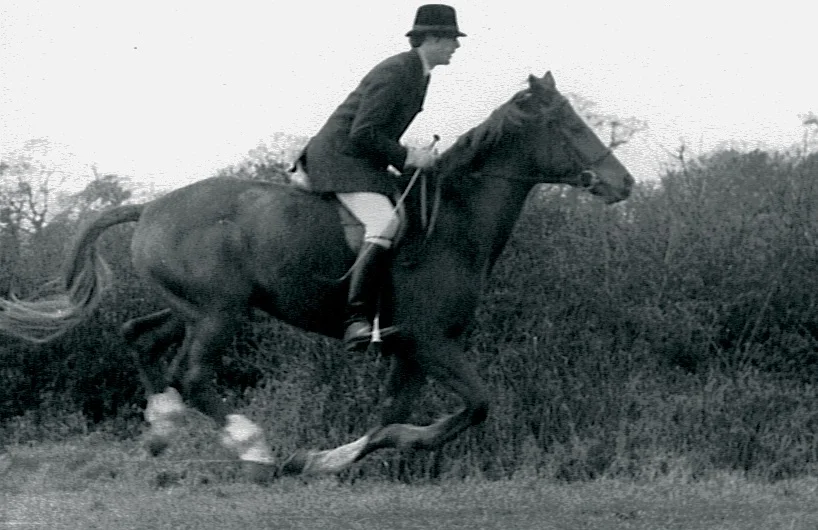Politz on a Russian Trakehner