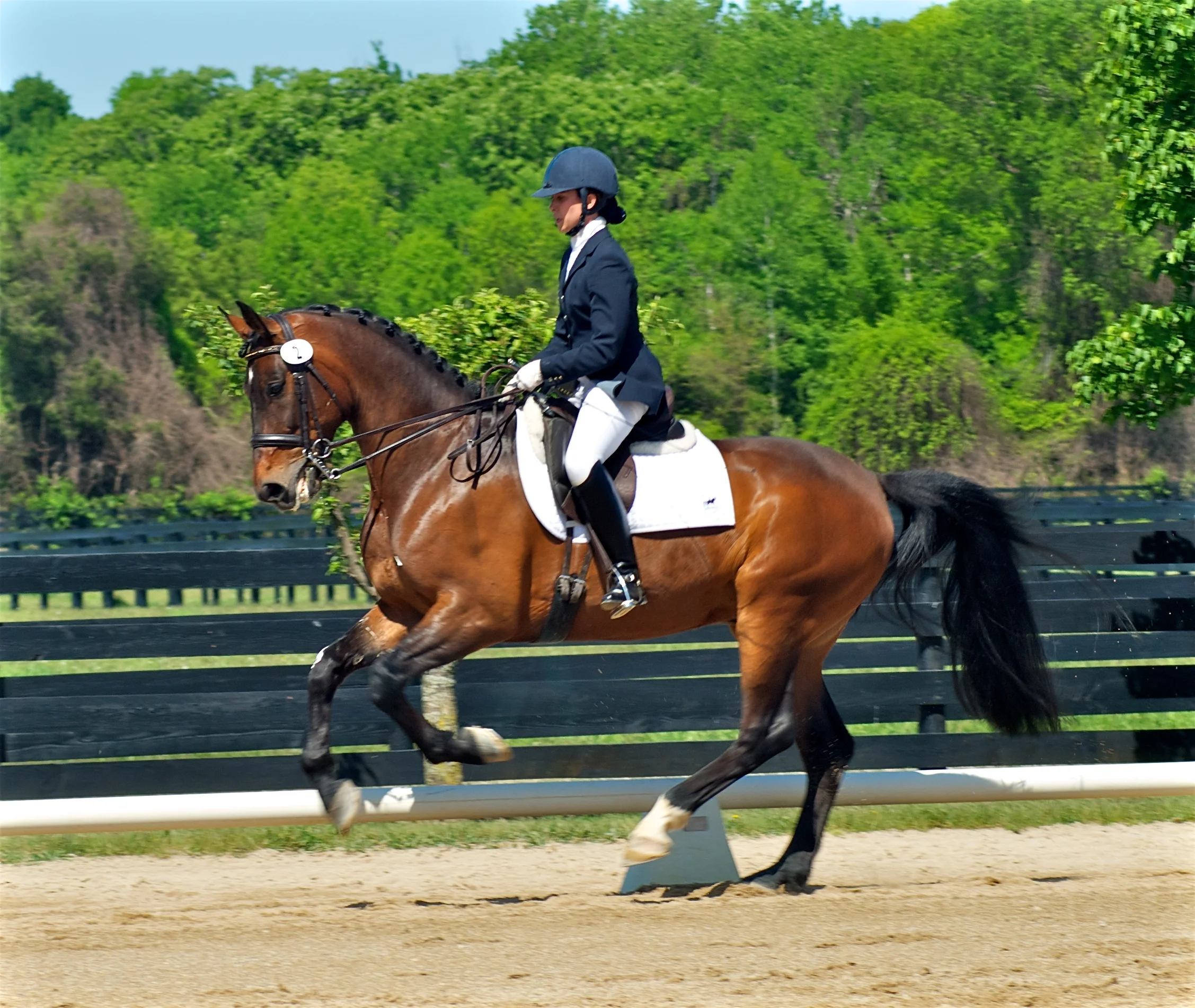Kate Fleming-Kuhn on Westerstorm