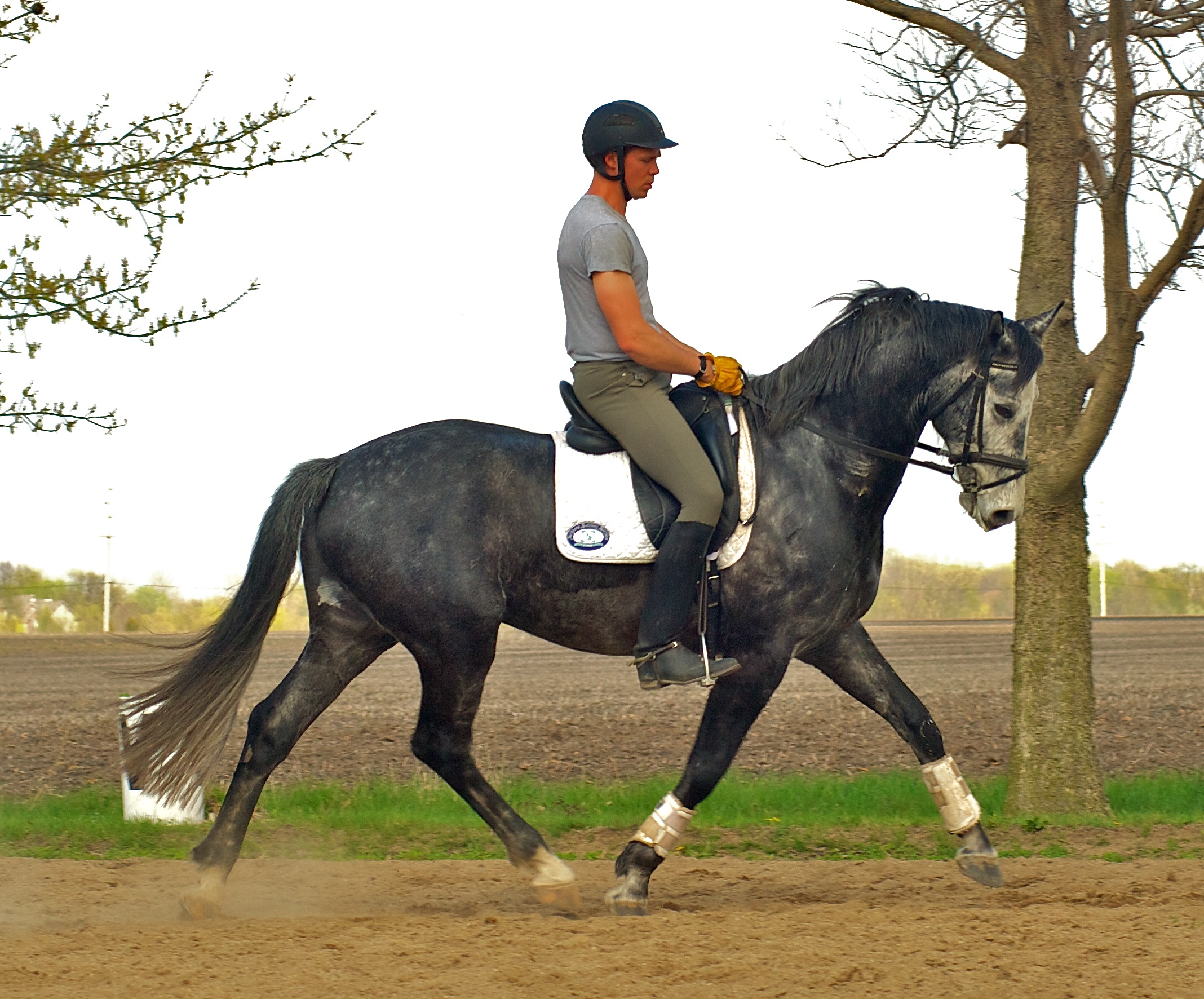 Martin Kuhn on Greystoke