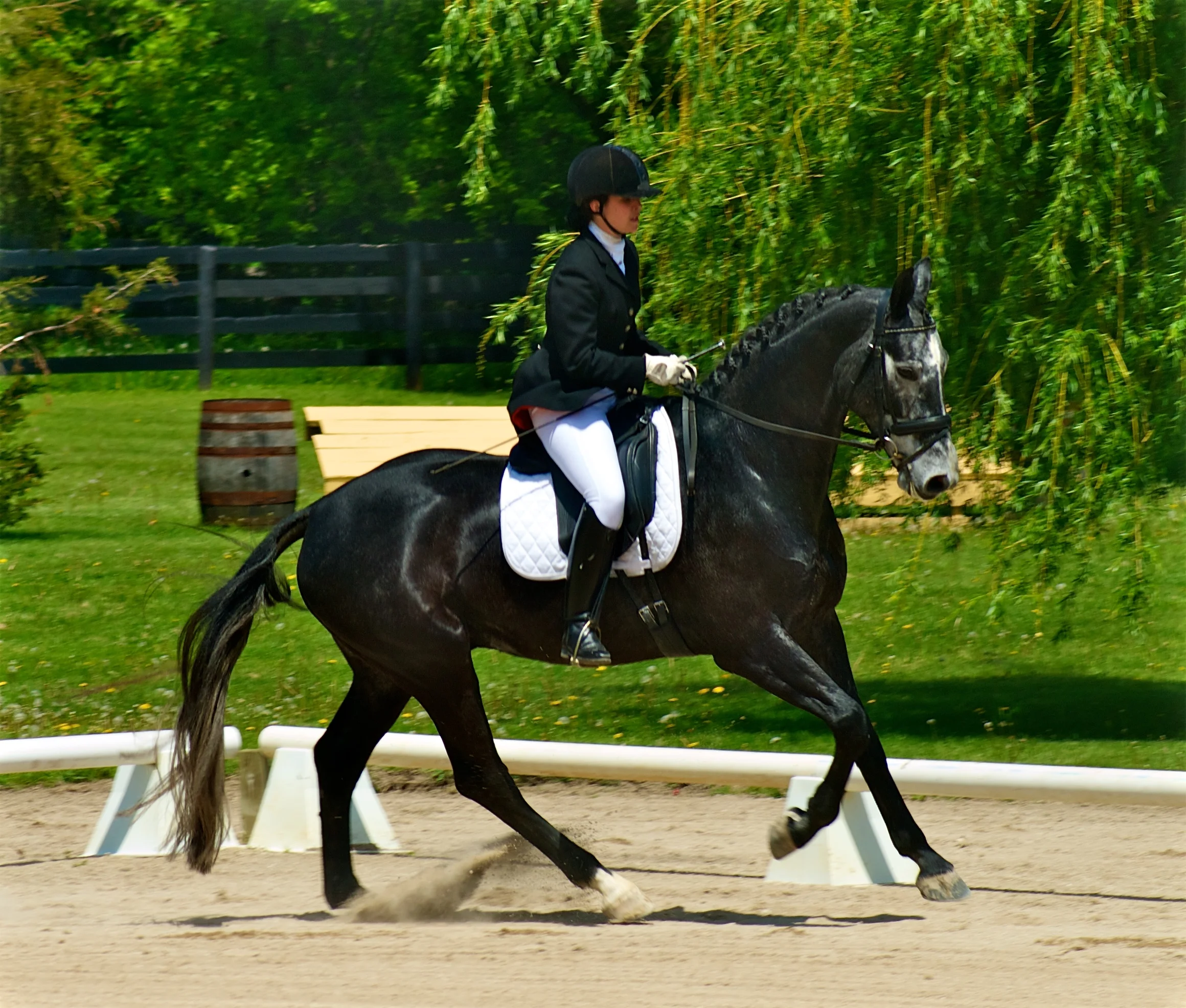 Kate Fleming-Kuhn on Greystoke