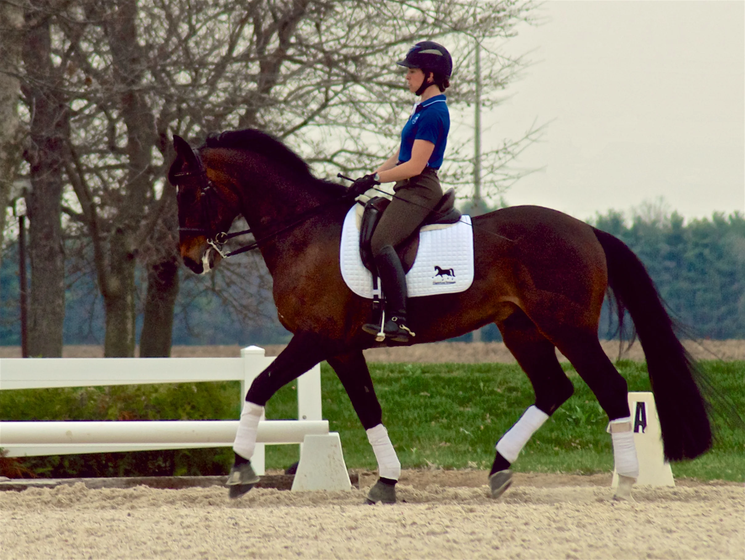 Kate Fleming-Kuhn on Westerstorm
