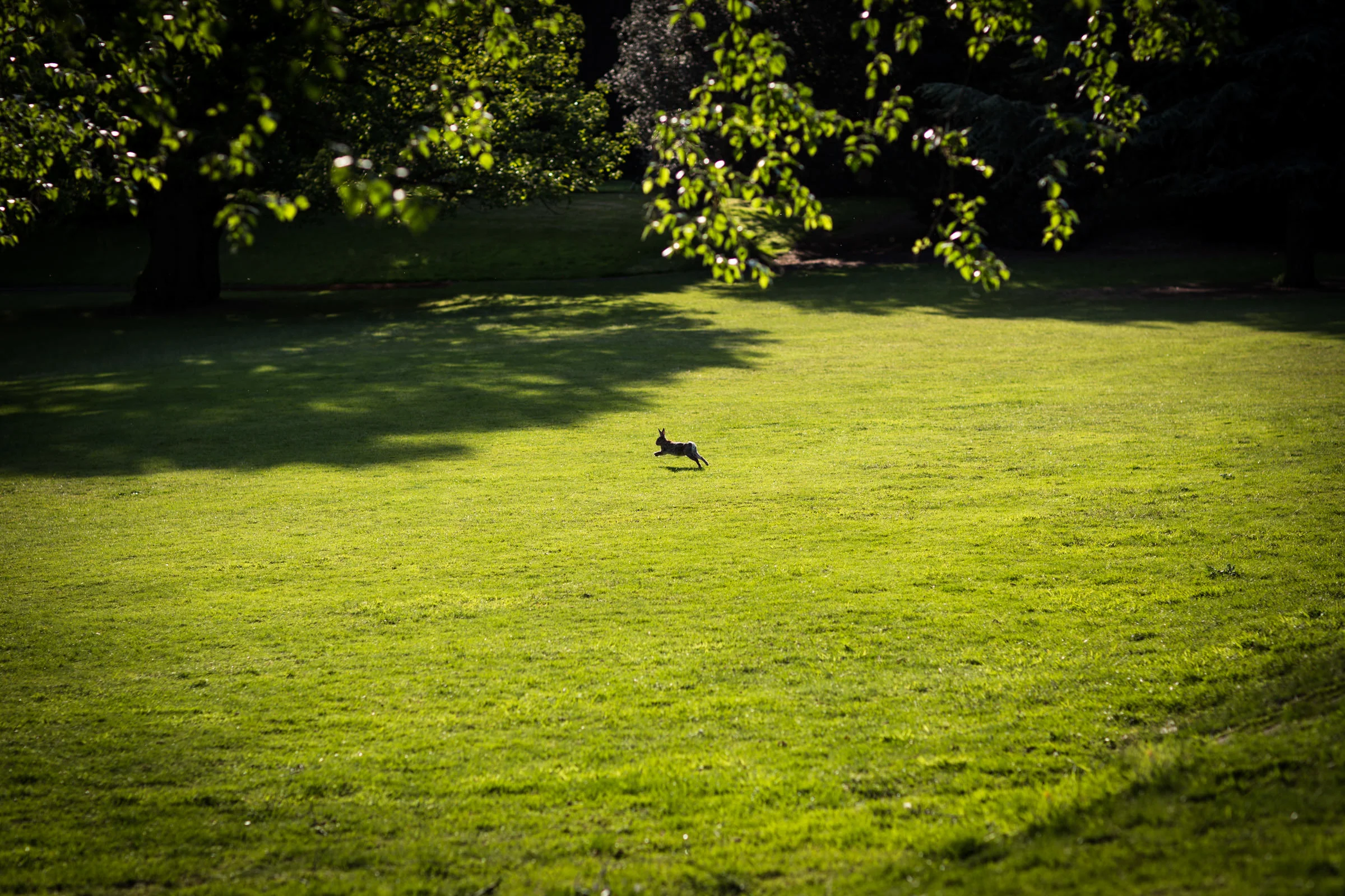 Wedding at Hampton Court House in East Molesey 013.jpg