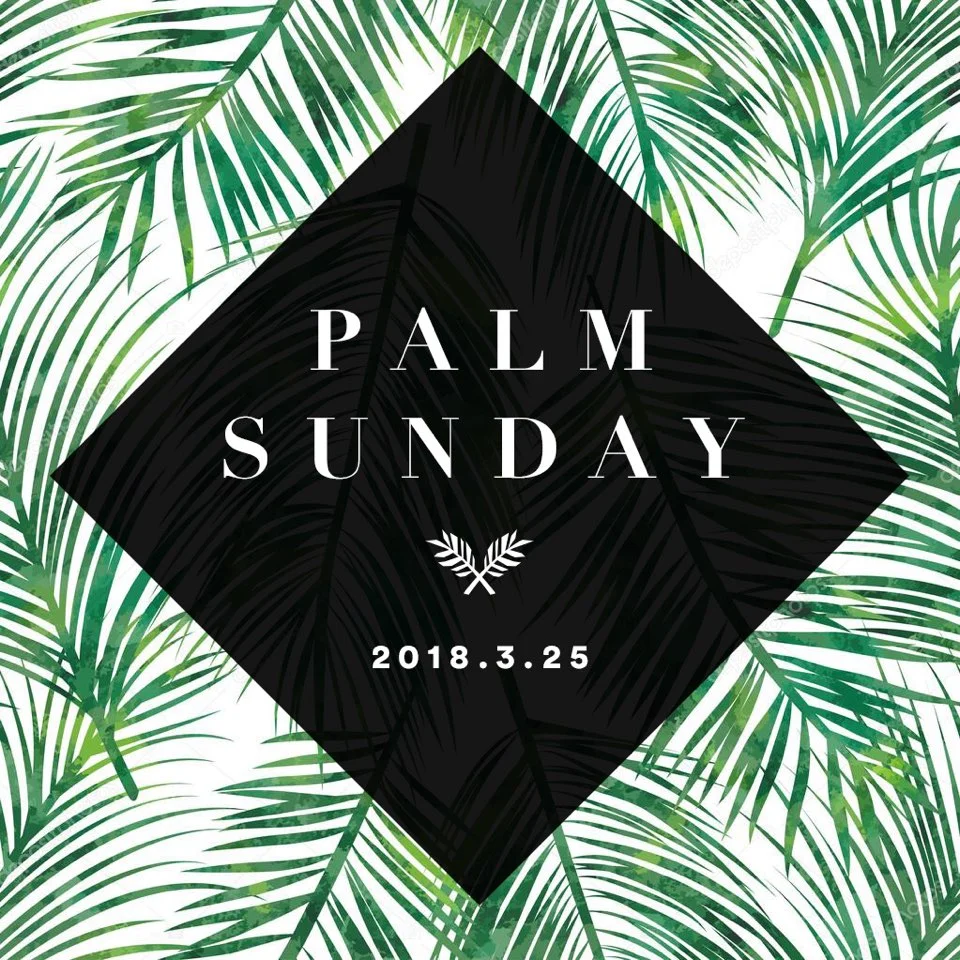palm Sudnay.jpeg