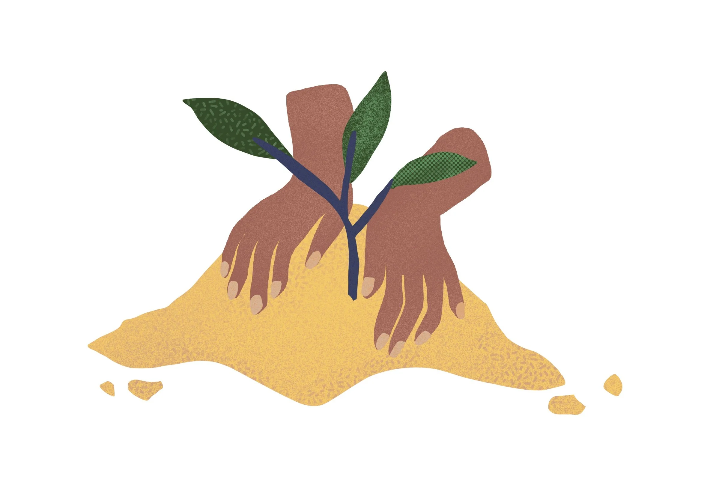 KakaoTalk_Photo_2024-08-07-20-35-50 002.jpeg